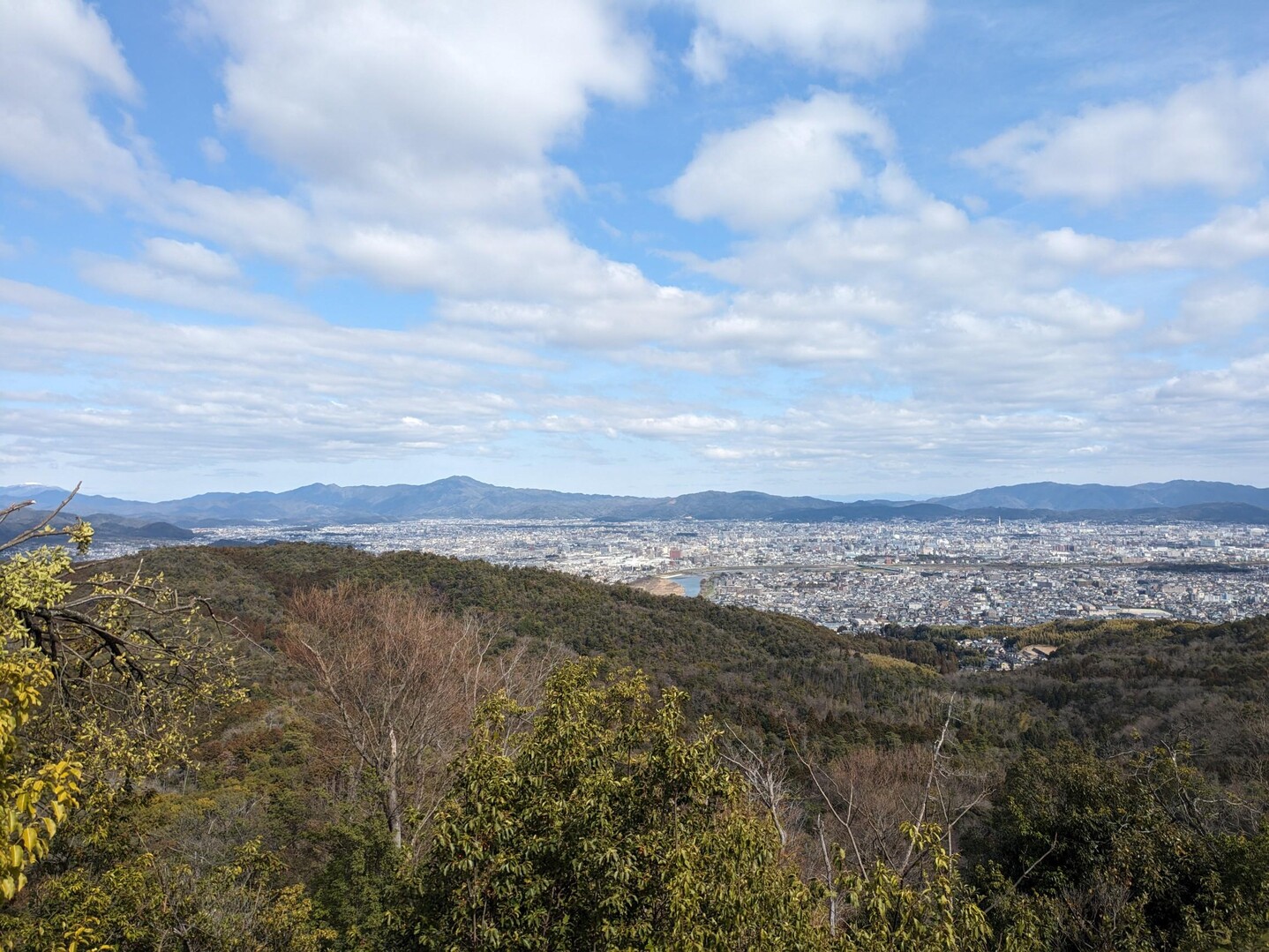 桂坂野鳥遊園 東ベンチ 20240307 / キイチさんの登山の活動データ YAMAP / ヤマップ