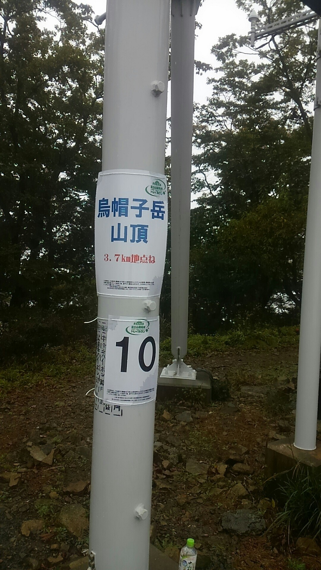 富士山原始林トレイルラン あんそんさんの鳴沢村の活動データ Yamap ヤマップ