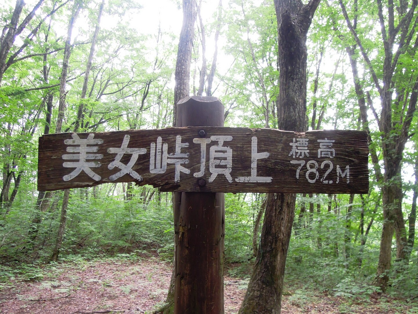 美女峠～俎倉山 (福島県昭和村) 20210710 / ばれっとさんの志津倉山の活動データ YAMAP / ヤマップ