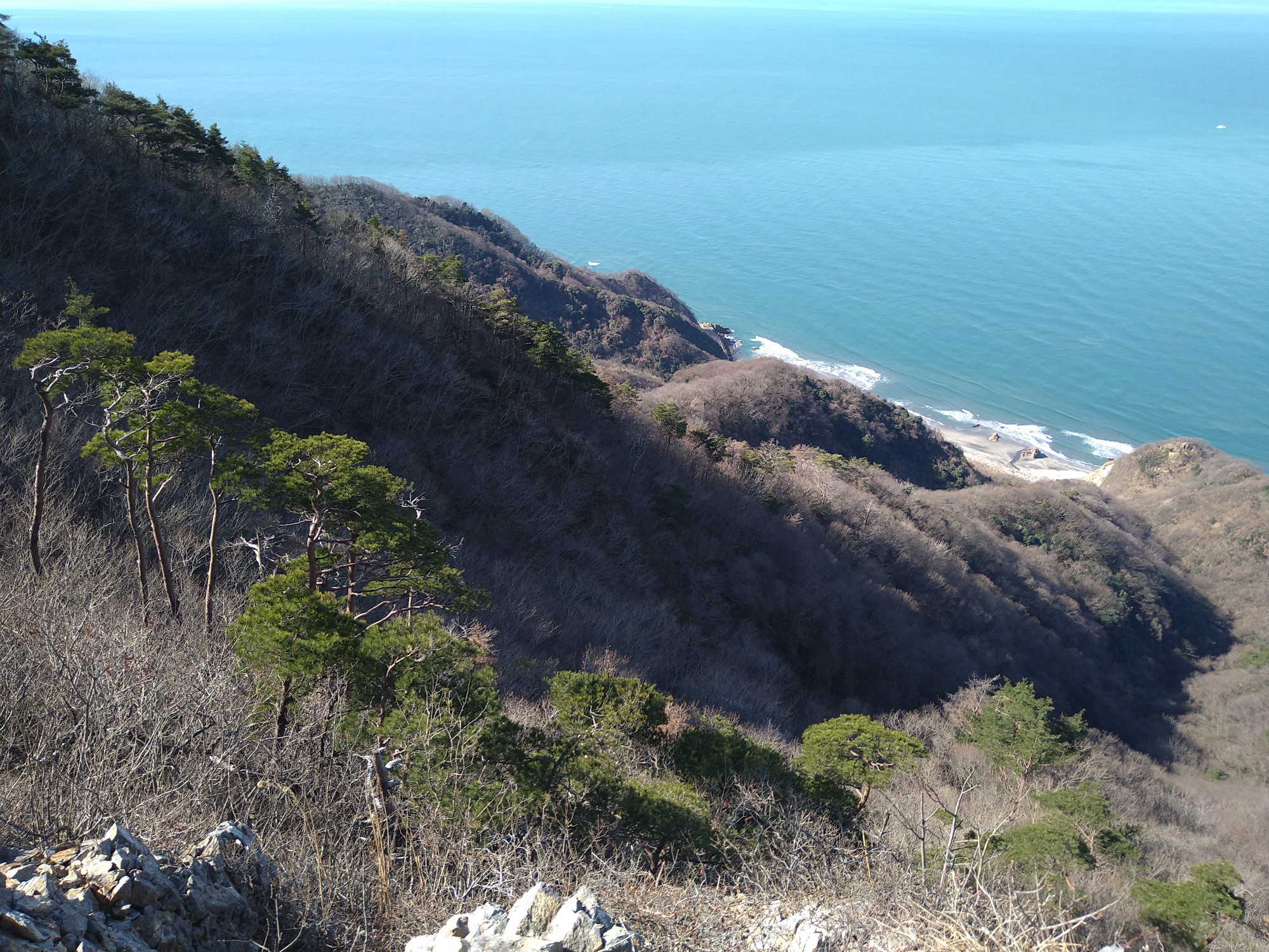 弥彦山 崖松 田の浦 ジャスさんの角田山の活動データ Yamap ヤマップ