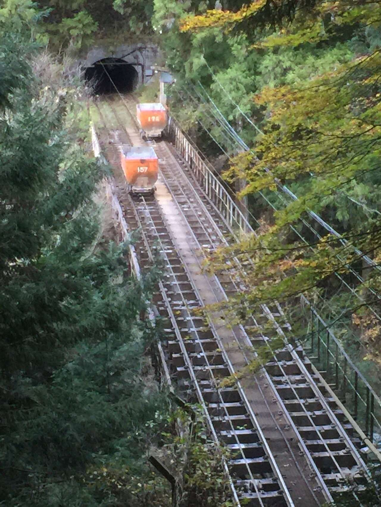 19 12 11動画追加 奥多摩トロッコとセラピーロードから大楢峠ライド Ban Chevyさんの川苔山 川乗山 の活動データ Yamap ヤマップ