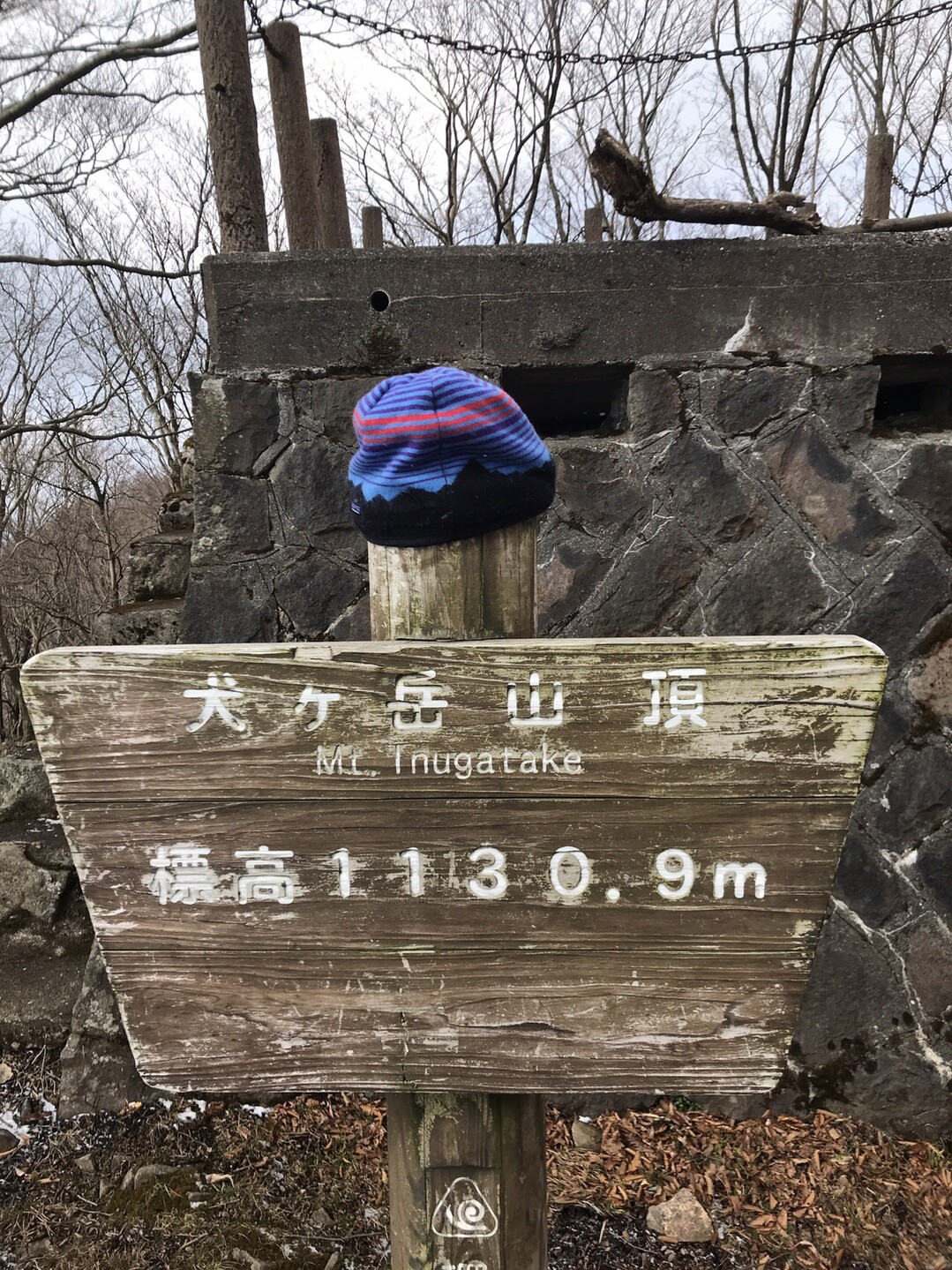 犬ヶ岳(福岡県・大分県)・求菩提山20200305 / かつきさんの犬ヶ岳・求菩提山の活動データ YAMAP / ヤマップ