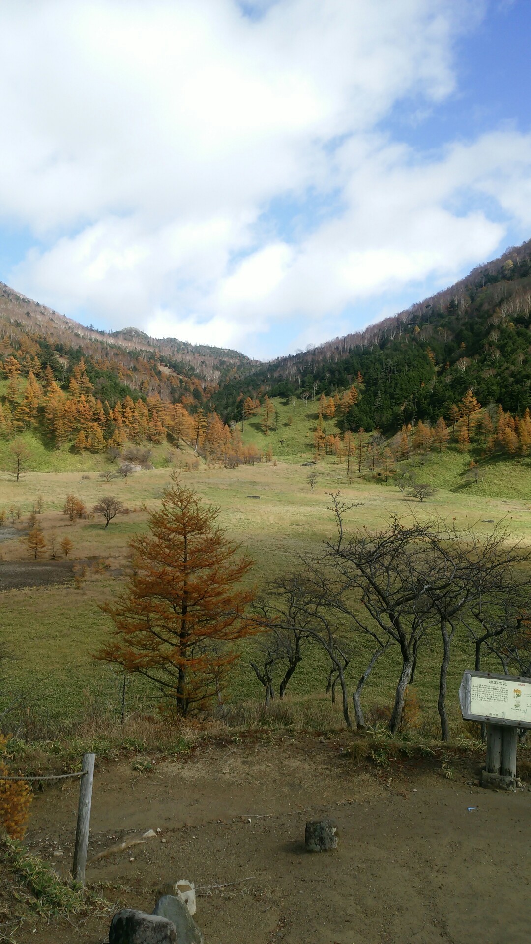 光徳沼から涸れ沼 刈込湖切込湖 日光湯元 すーたさんの日光白根山 五色山 錫ヶ岳の活動データ Yamap ヤマップ