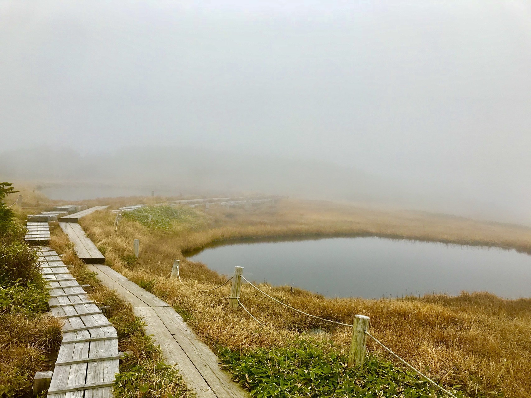 秋限定 文明の力を駆使 日帰り苗場山ピークハント グズペチャモさんのかぐらスキー場の活動データ Yamap ヤマップ