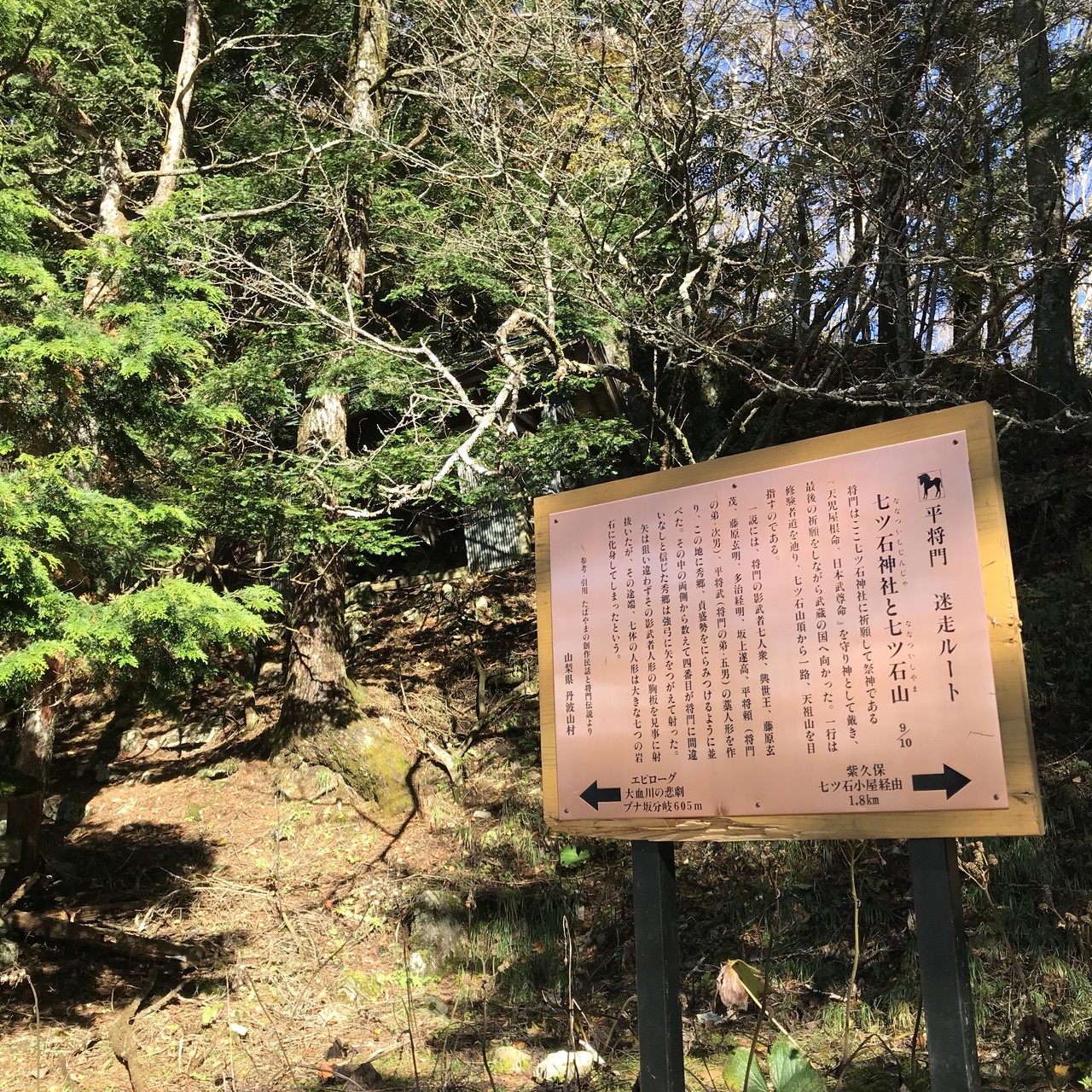 鴨沢p 雲取山 タレントさんに遭遇 人ﾟ ﾟ Novoさんの雲取山 鷹ノ巣山 七ツ石山の活動データ Yamap ヤマップ