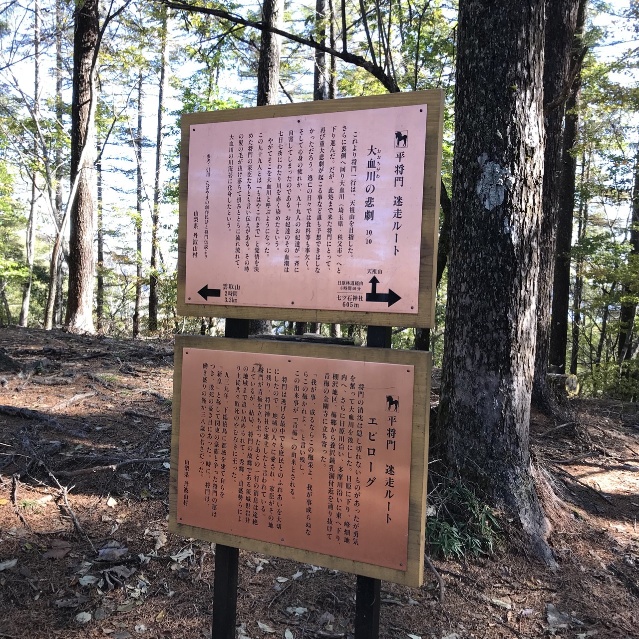 鴨沢p 雲取山 タレントさんに遭遇 人ﾟ ﾟ Novoさんの雲取山 鷹ノ巣山 七ツ石山の活動データ Yamap ヤマップ