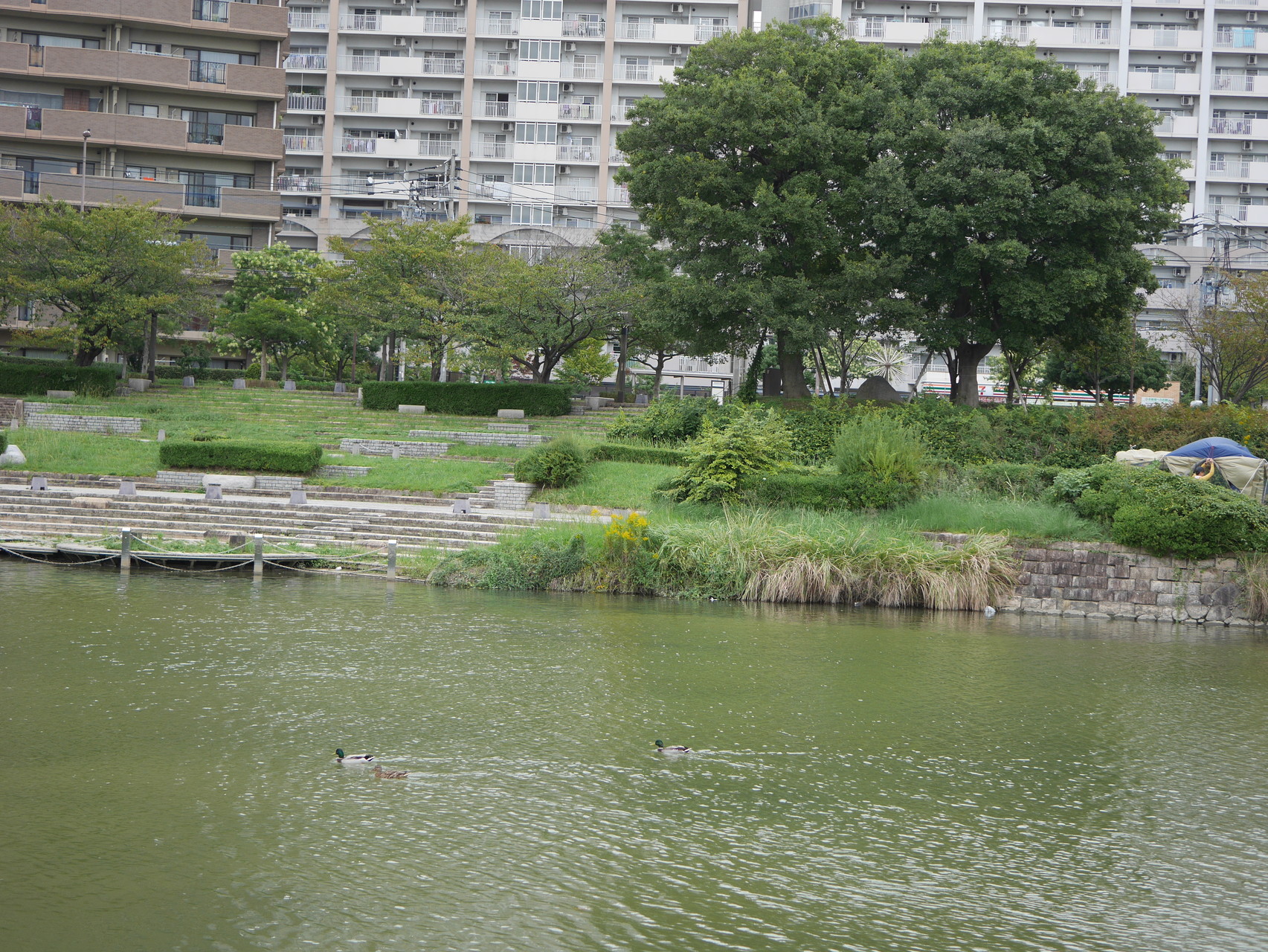 3ヶ月ぶりに那珂川河川敷を歩く Lalaさんの 公式 福岡市 防災情報含む の活動データ Yamap ヤマップ
