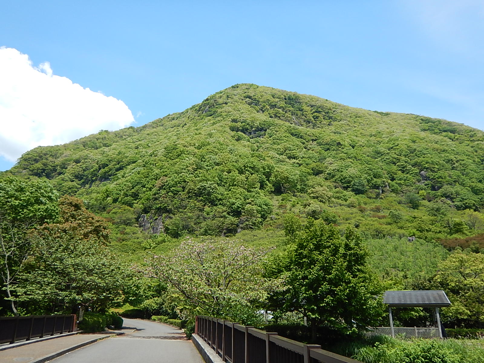 幕山 関東百名山 湯河原温泉こごめの湯 Masa Aさんの幕山 南郷山の活動日記 Yamap ヤマップ