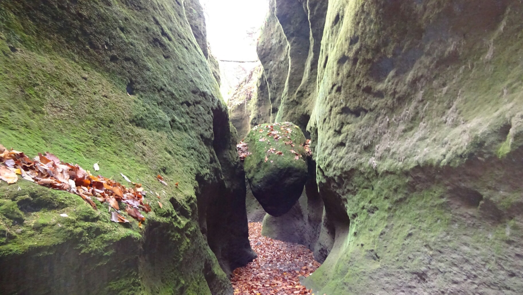 苔の洞門 偵察 Yuki Chanさんの樽前山 風不死岳の活動データ Yamap ヤマップ