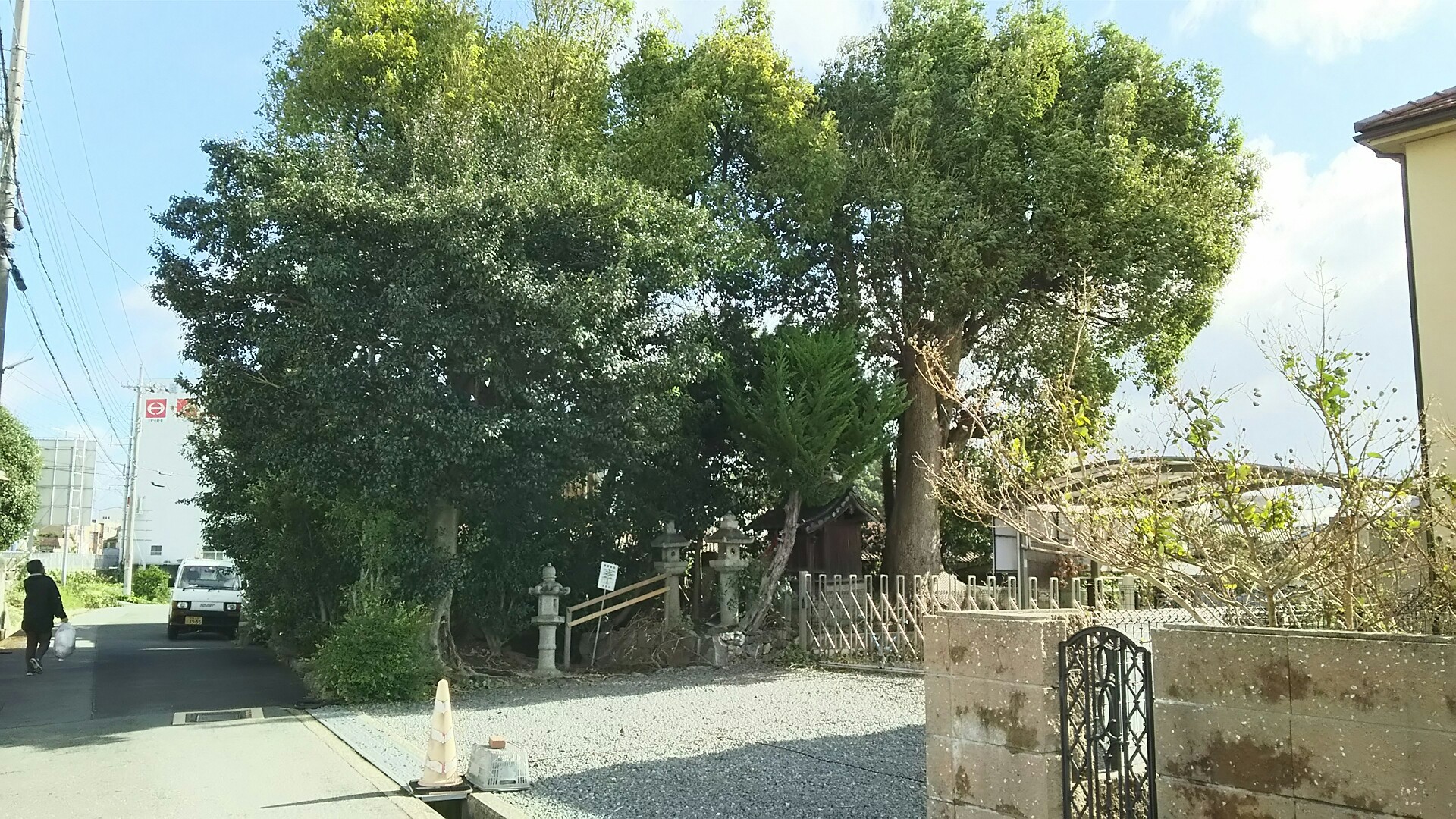 竜王山(茨木市)・阿武山 保護樹林クスノキ の下に西宿の北向地蔵 