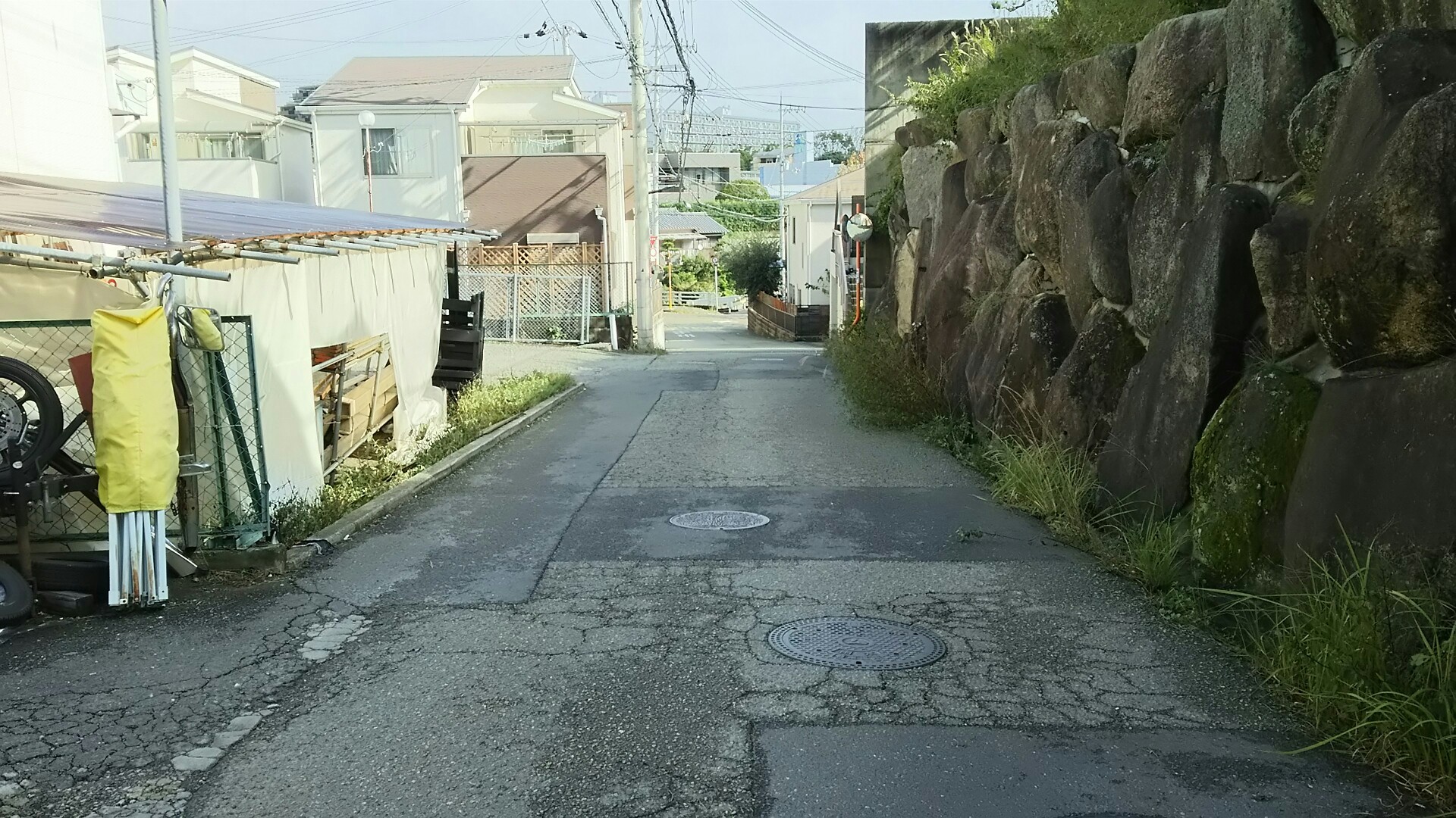 竜王山(茨木市)・阿武山 東側へ下っている