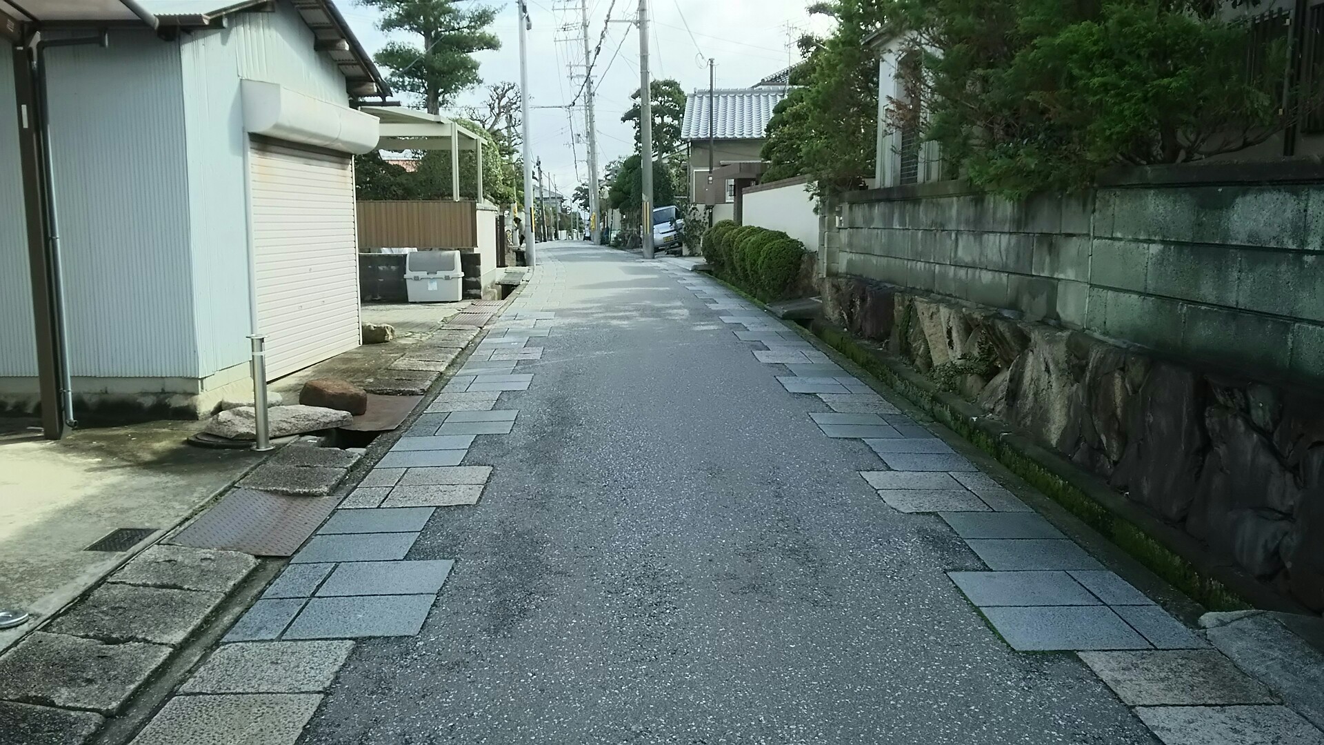 竜王山(茨木市)・阿武山 路面が綺麗になる