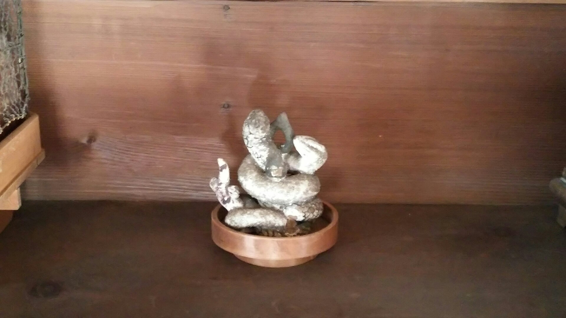 竜王山(茨木市)・阿武山 蛇神　　これが龍王か