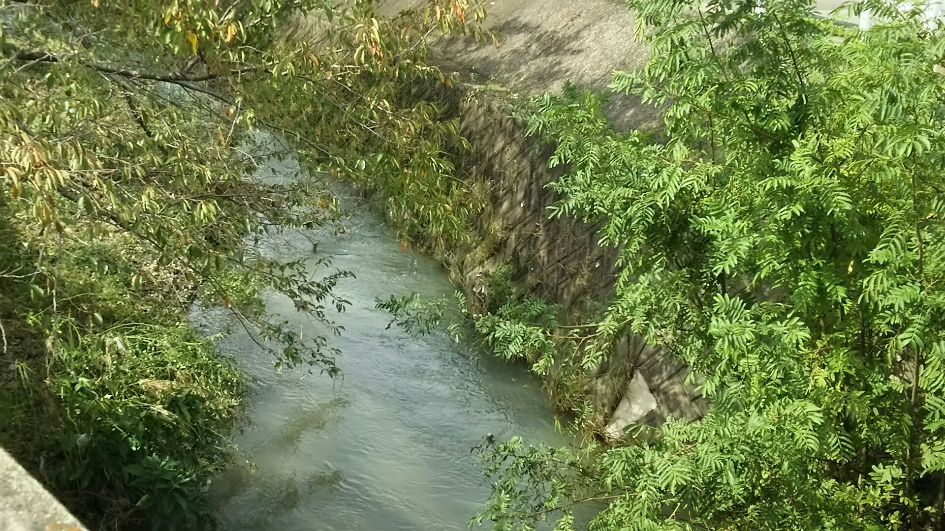 竜王山(茨木市)・阿武山 箕川を渡り北へ