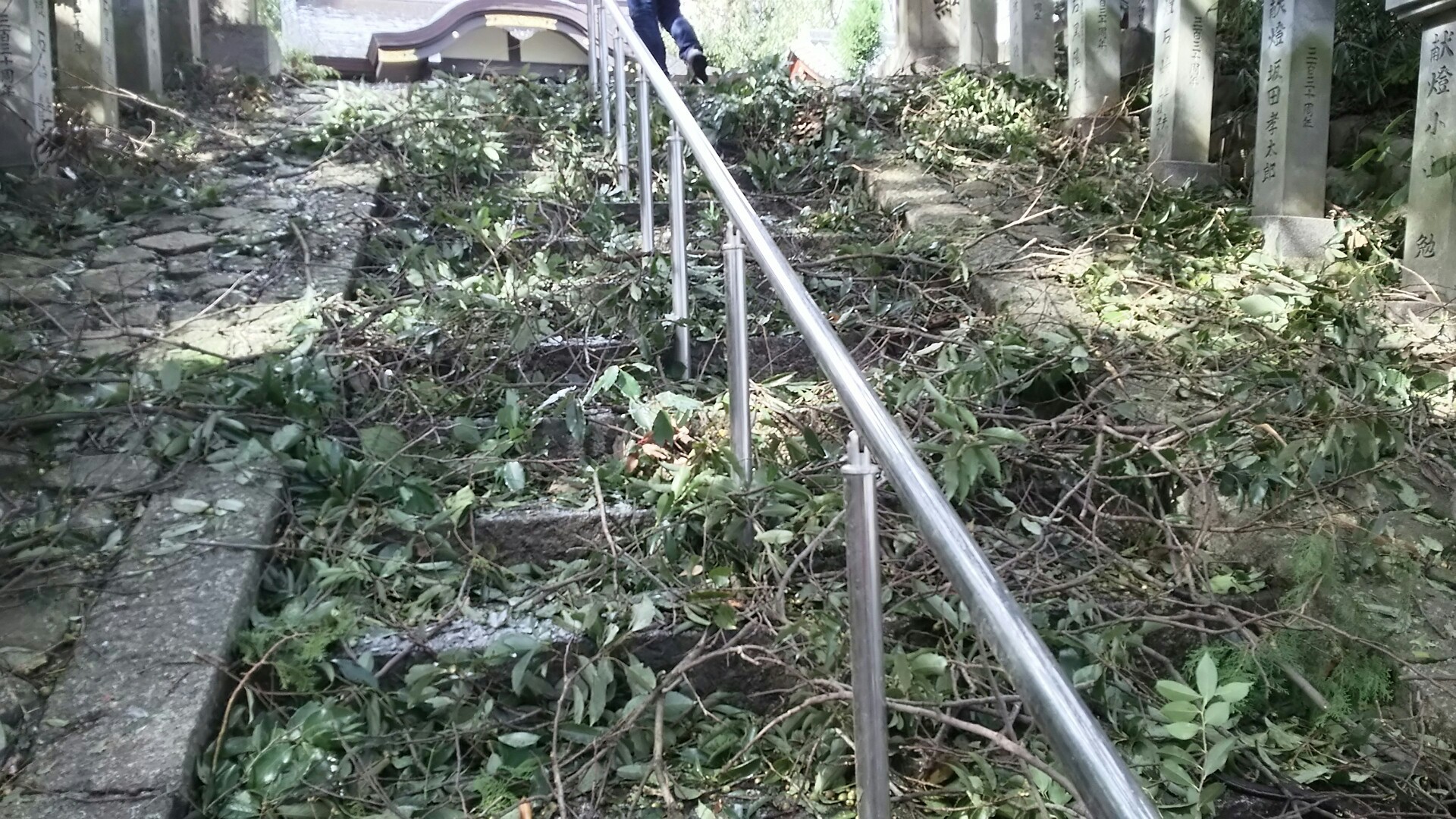 竜王山(茨木市)・阿武山 登るのが大変だ。
小学校時代の笹川良一と川端康成が陽が落ち、夕闇迫る晩秋の宵まで遊んでいた神社が”月の清水”の春日神社である。