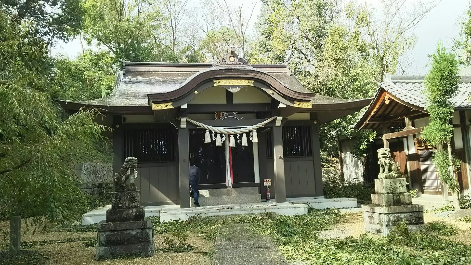 竜王山(茨木市)・阿武山 平成24年（2012年再建された 拝殿及び本殿