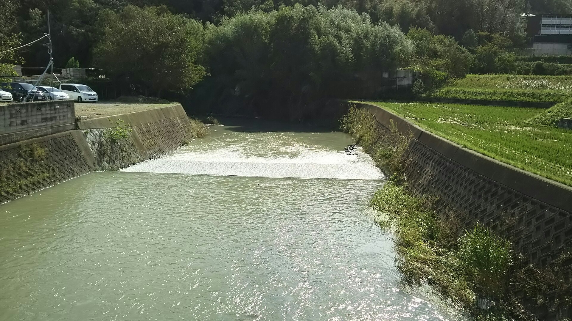 竜王山(茨木市)・阿武山 この先　茨木川に合流する。