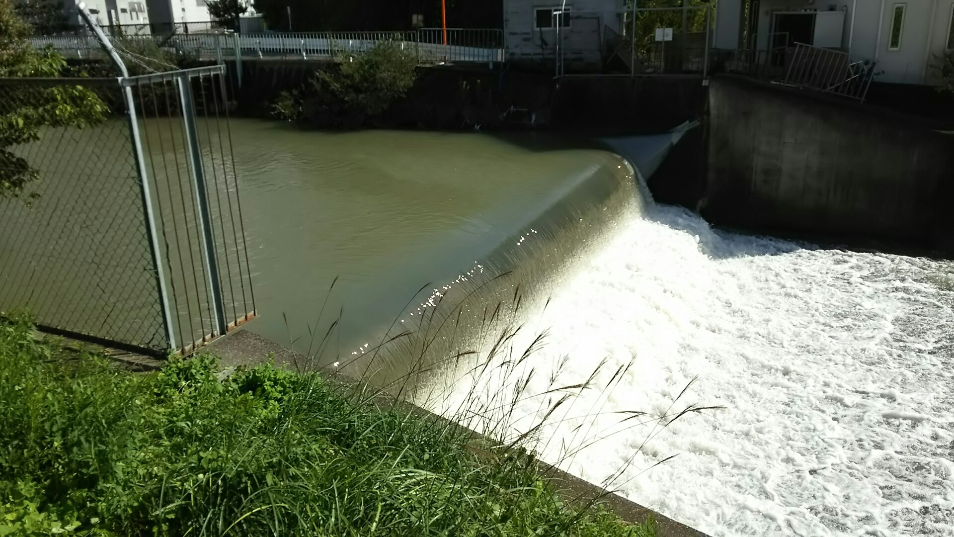 竜王山(茨木市)・阿武山 昨日来の台風の影響で勝尾寺も水量が多い
