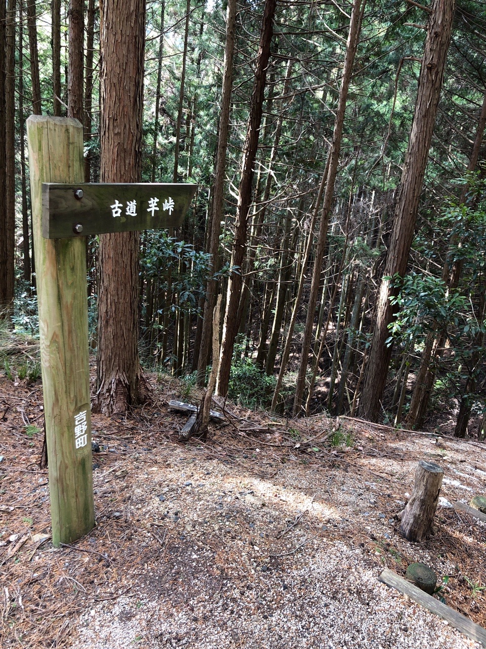 高取山 ここから下りになります。