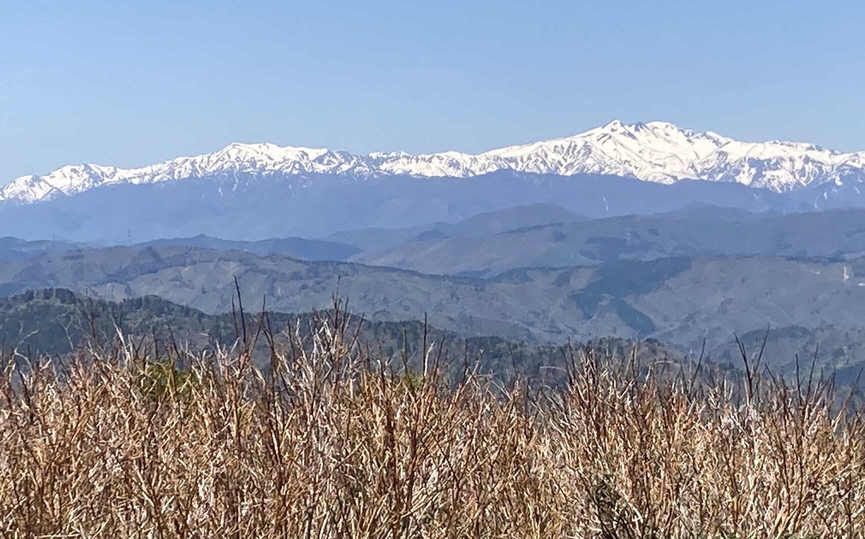 位山で白山の絶景とバイカオウレンのお花畑 / きよさんの川上岳・位山・船山（飛騨富士）の活動データ YAMAP / ヤマップ
