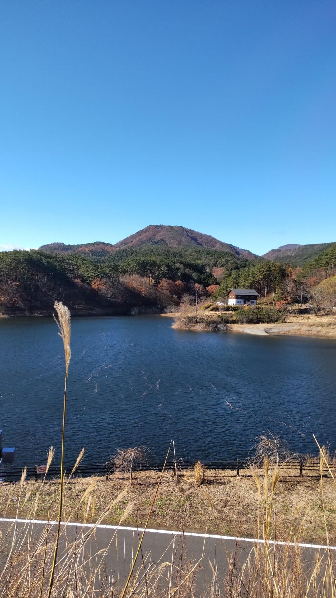 藤沼湖自然公園遊歩道周遊20231204 / きーさんさんの高土山の活動データ YAMAP / ヤマップ