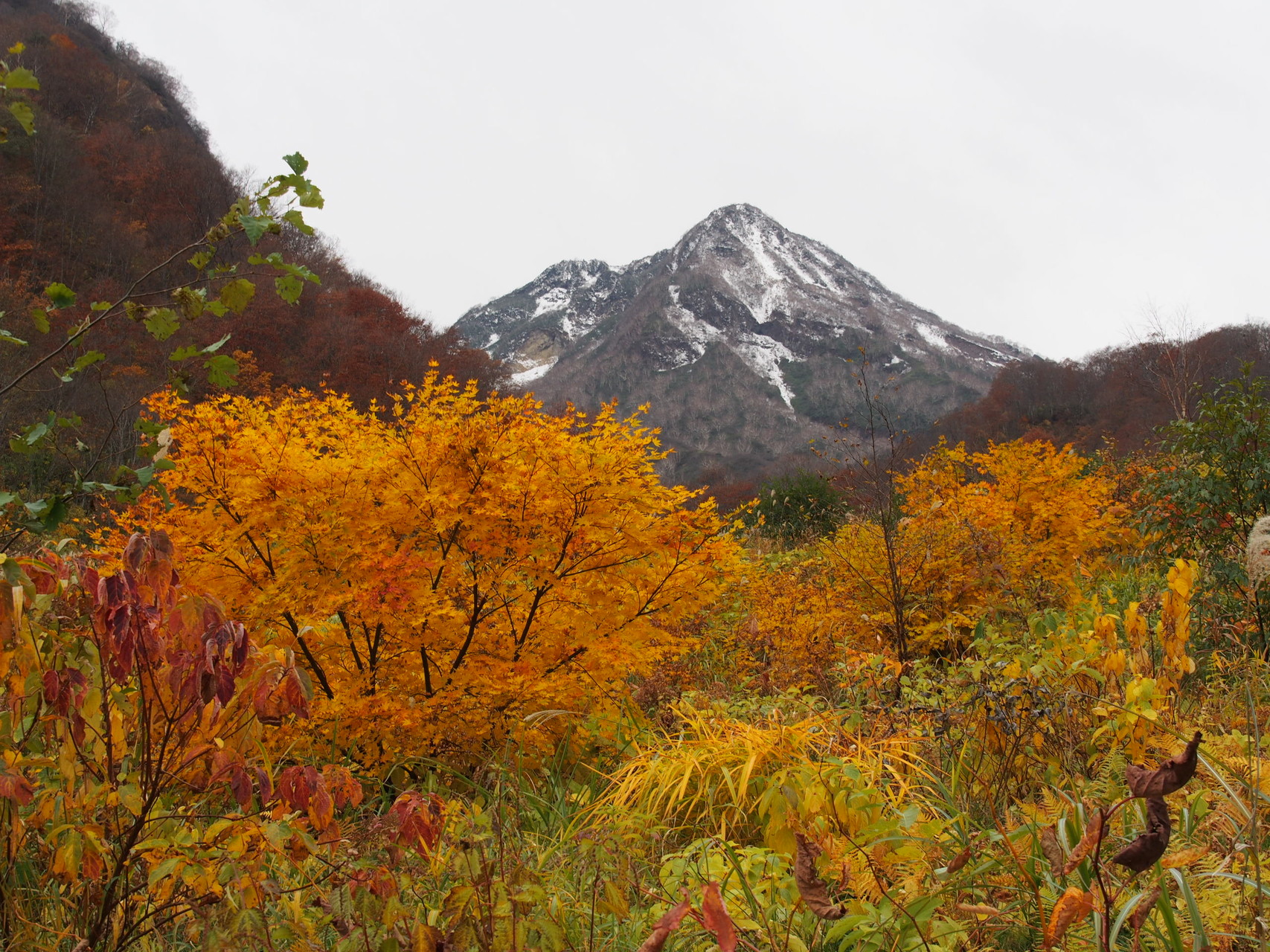 妙高高原に紅葉ハイキング 意地でもお山に行くよ Kimikoさんの妙高山 火打山の活動データ Yamap ヤマップ