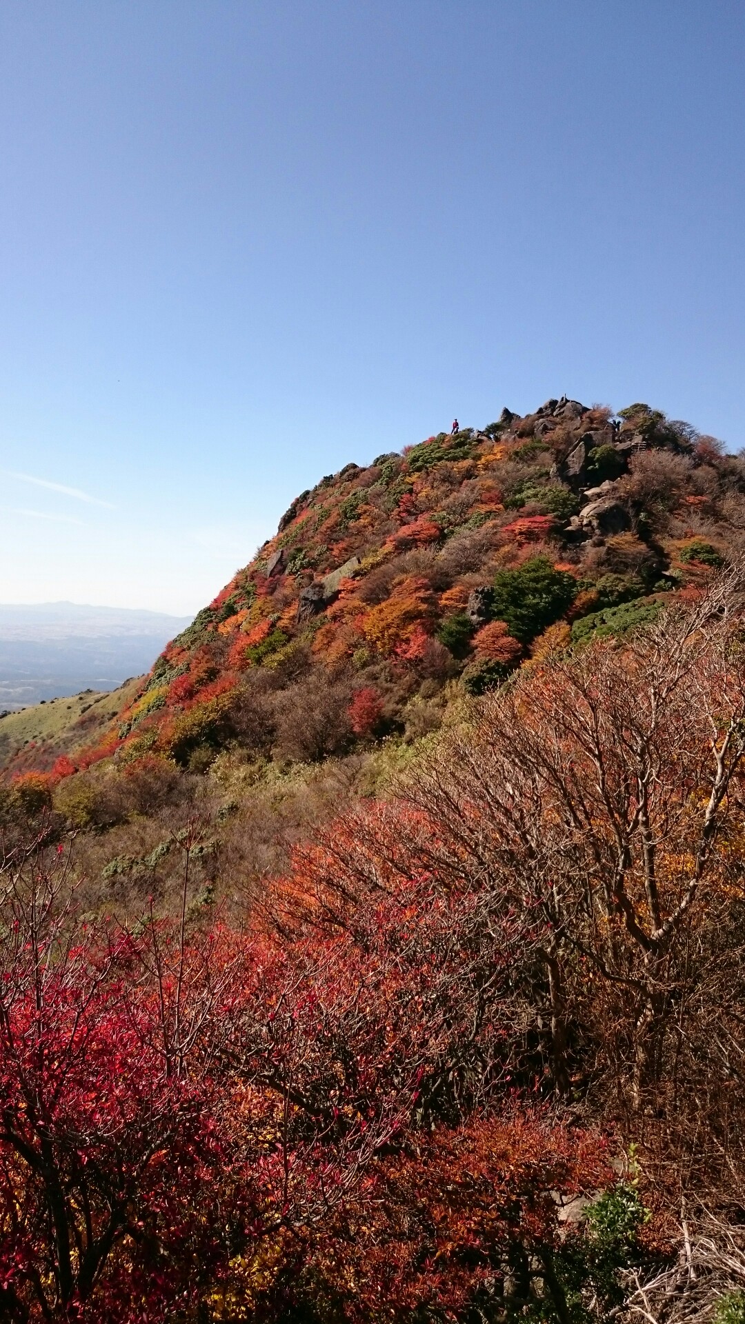久住山 沓掛山から見る紅葉 きよちゃんさんの九重山 久住山 大船山 星生山の活動データ Yamap ヤマップ