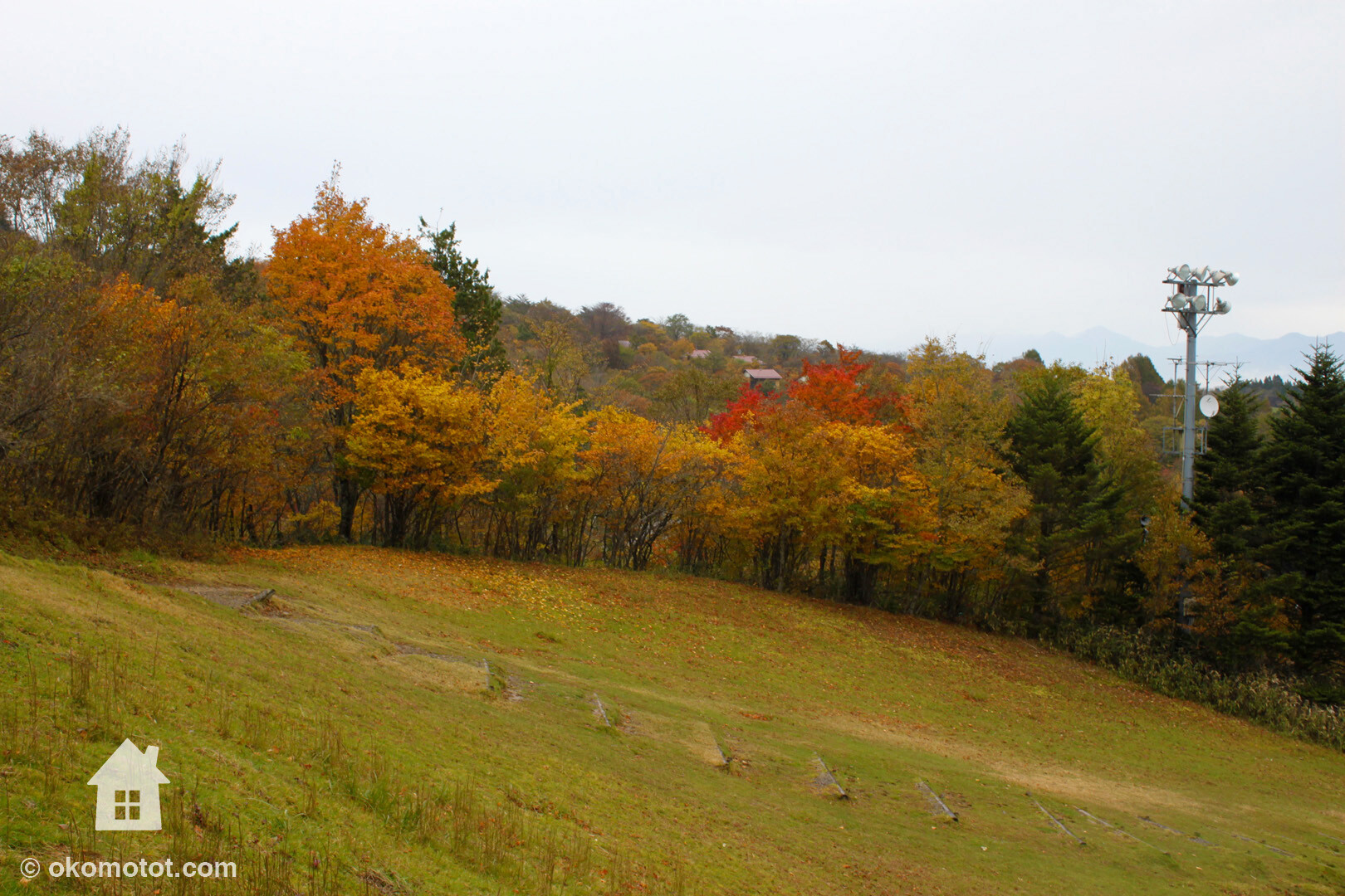 茶臼山高原へ雨の紅葉ハイキング ぴよぴよさんの茶臼山 愛知県 萩太郎山の活動データ Yamap ヤマップ
