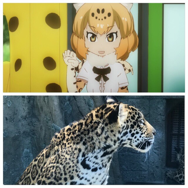 天王寺動物園でフレンズに会いに行きました 社長aさんの大阪市の活動データ Yamap ヤマップ