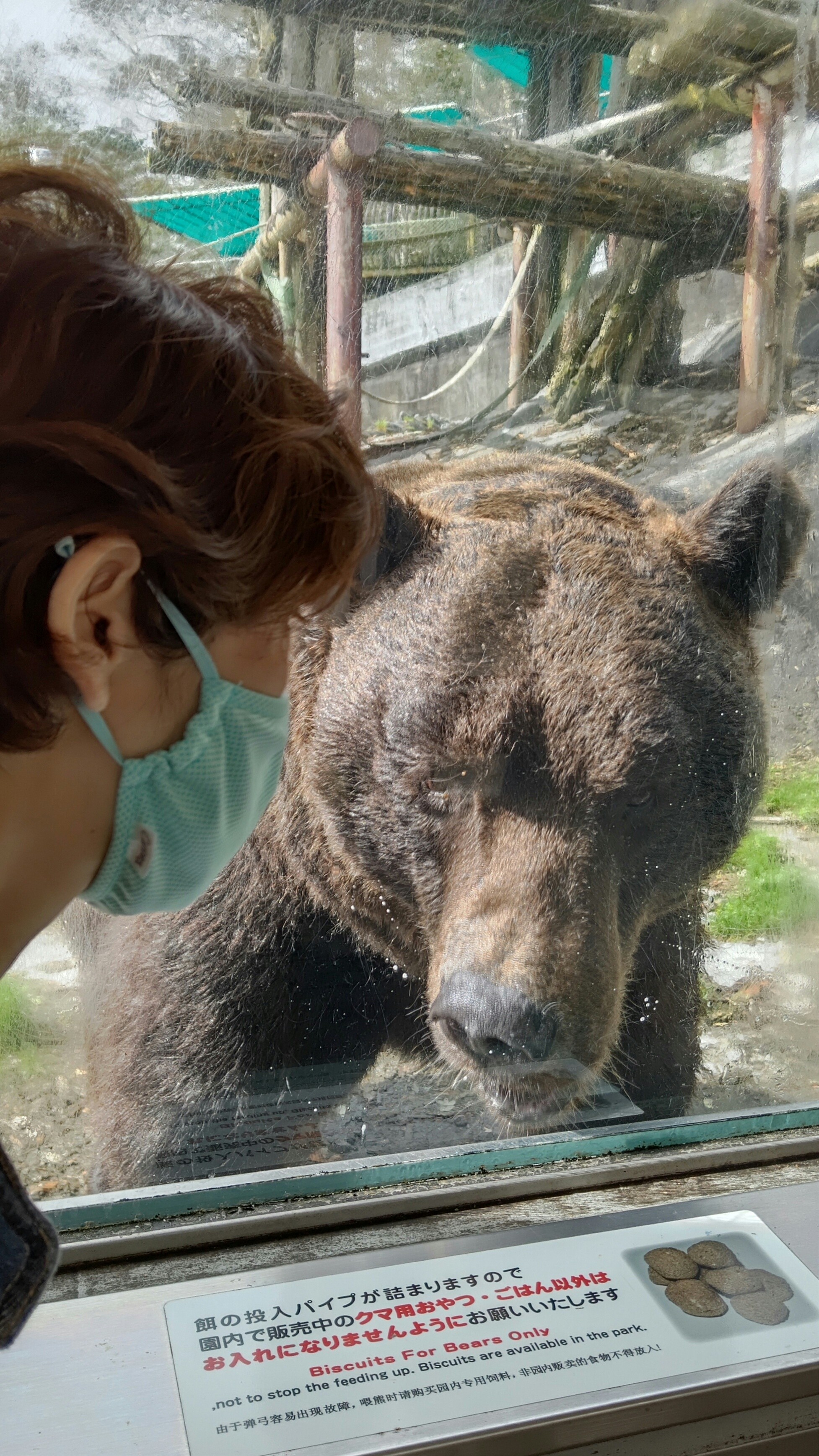 登別のクマ牧場 Keiさんの登別市の活動日記 Yamap ヤマップ