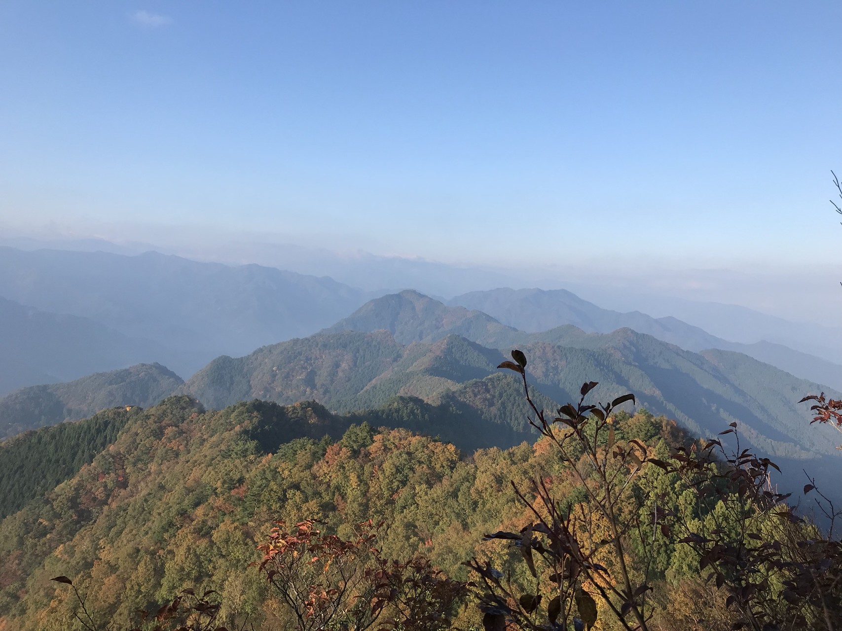 徳島県 船窪つつじ公園 半平山 奥野々山 朝見権現 五条山 杖立山 半平山 ﾋﾟｽﾄﾝ やまごんさんの穴吹川の活動データ Yamap ヤマップ