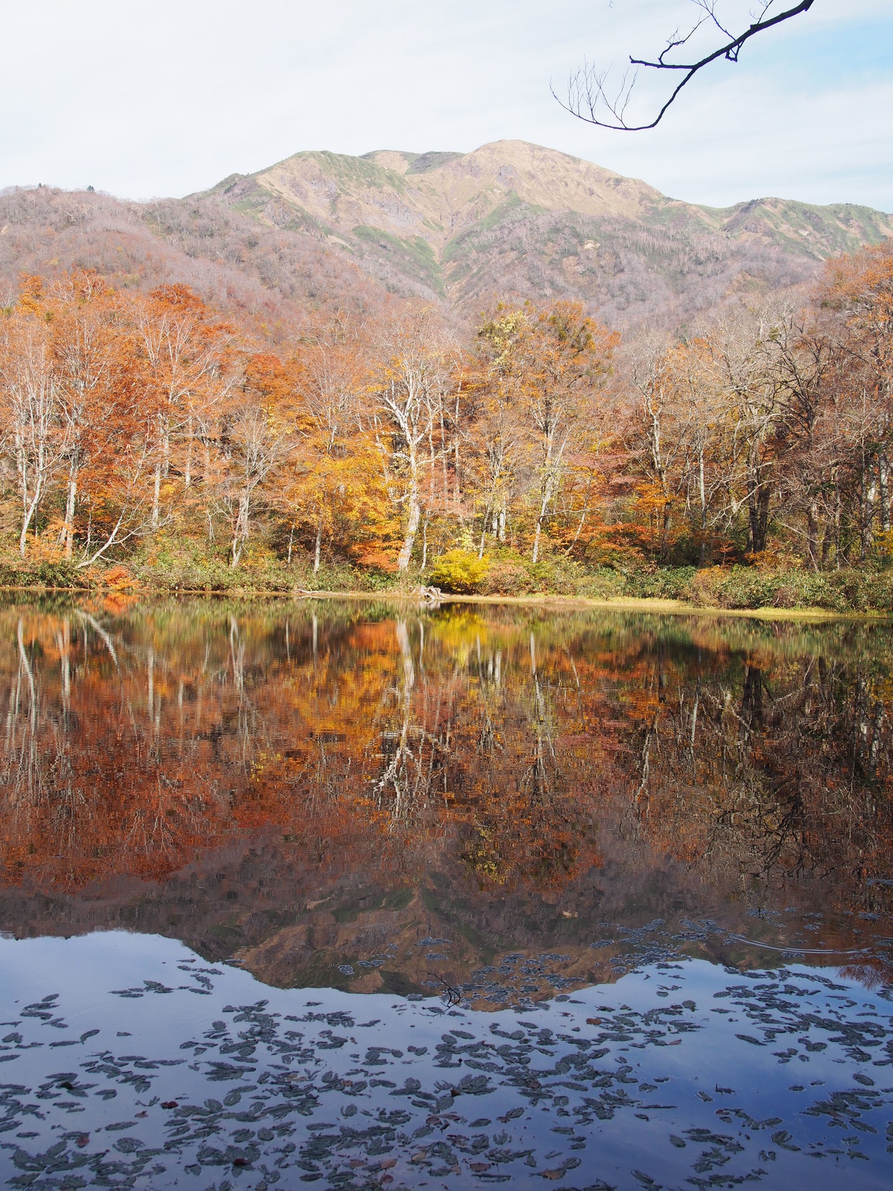 紅葉で有名な 刈込池 六本檜 三の峰への途中まで あさたんさんの白山 別山 銚子ヶ峰の活動データ Yamap ヤマップ