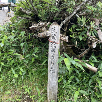 ちょっとした休憩所
霧が無ければ景色が良いらしい。