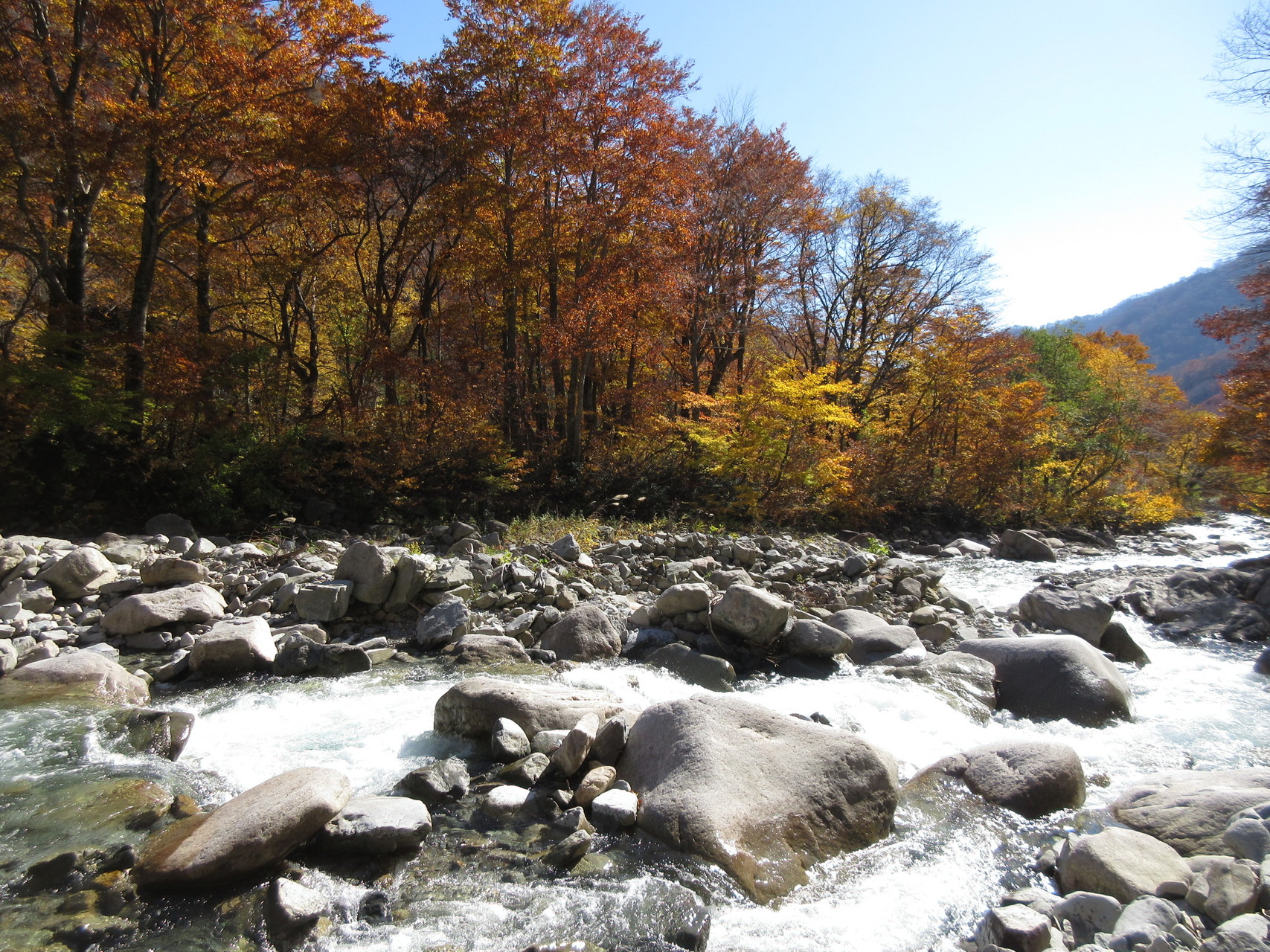 清水街道ハイキング 旧道 新道 ユキさんの谷川岳 七ツ小屋山 大源太山の活動日記 Yamap ヤマップ