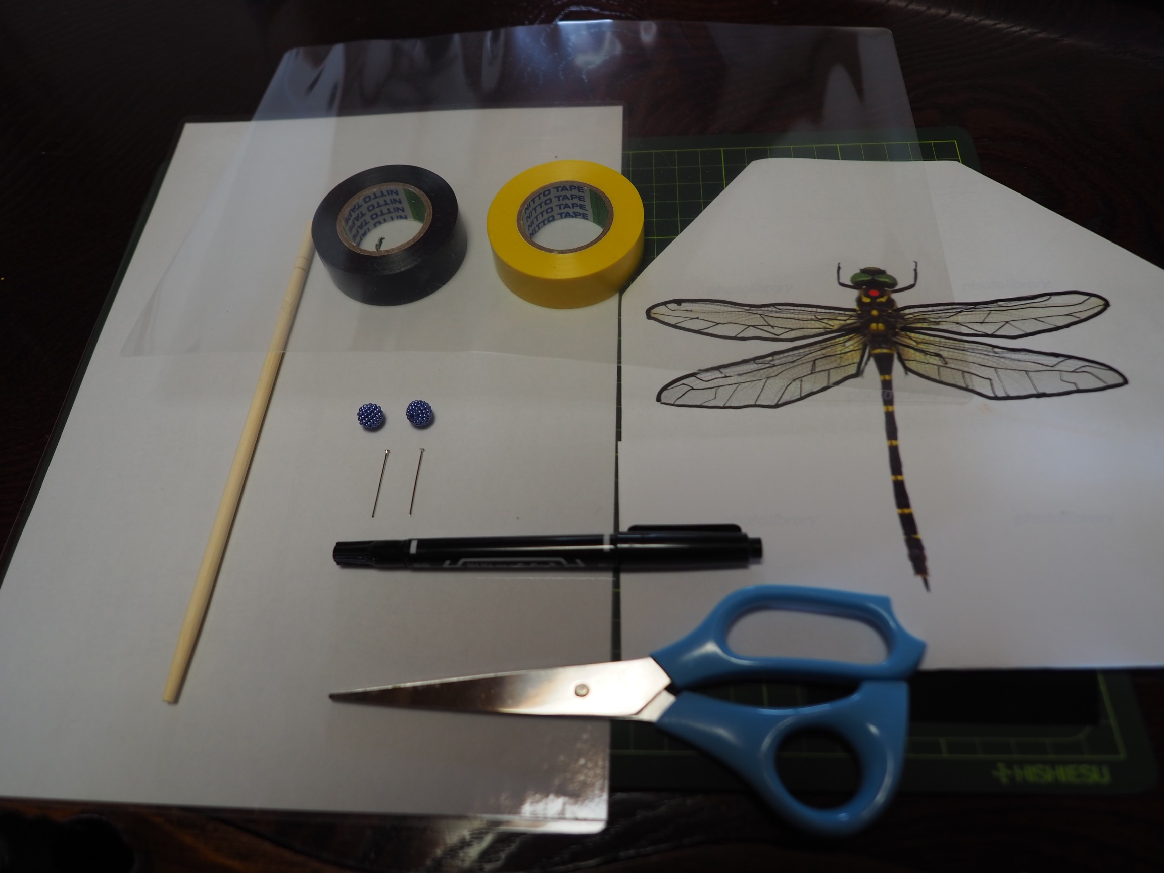 オニヤンマ君 実証実験 小笠山 マサマサさんの小笠山の活動日記 Yamap ヤマップ