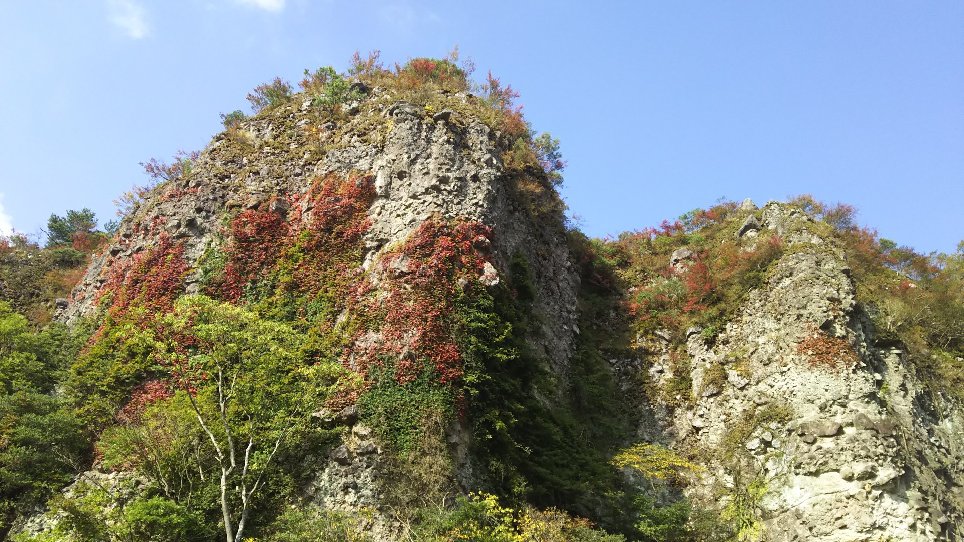 田原山 鋸山 の紅葉 は サッチャンさんの六郷満山 国東半島 の活動データ Yamap ヤマップ