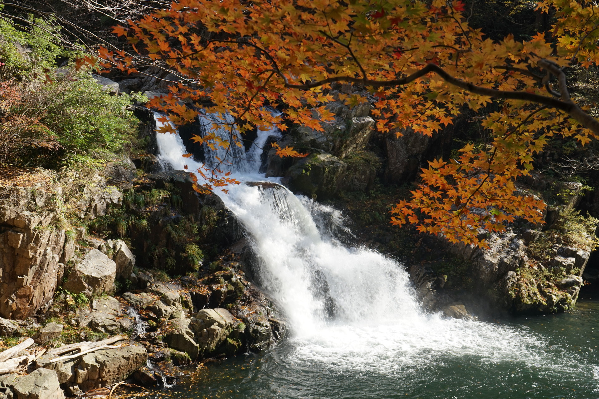 紅葉真っ盛りの三段峡からの深入山 高速トレッキング やまざるさんの安芸太田町 三段峡の活動データ Yamap ヤマップ