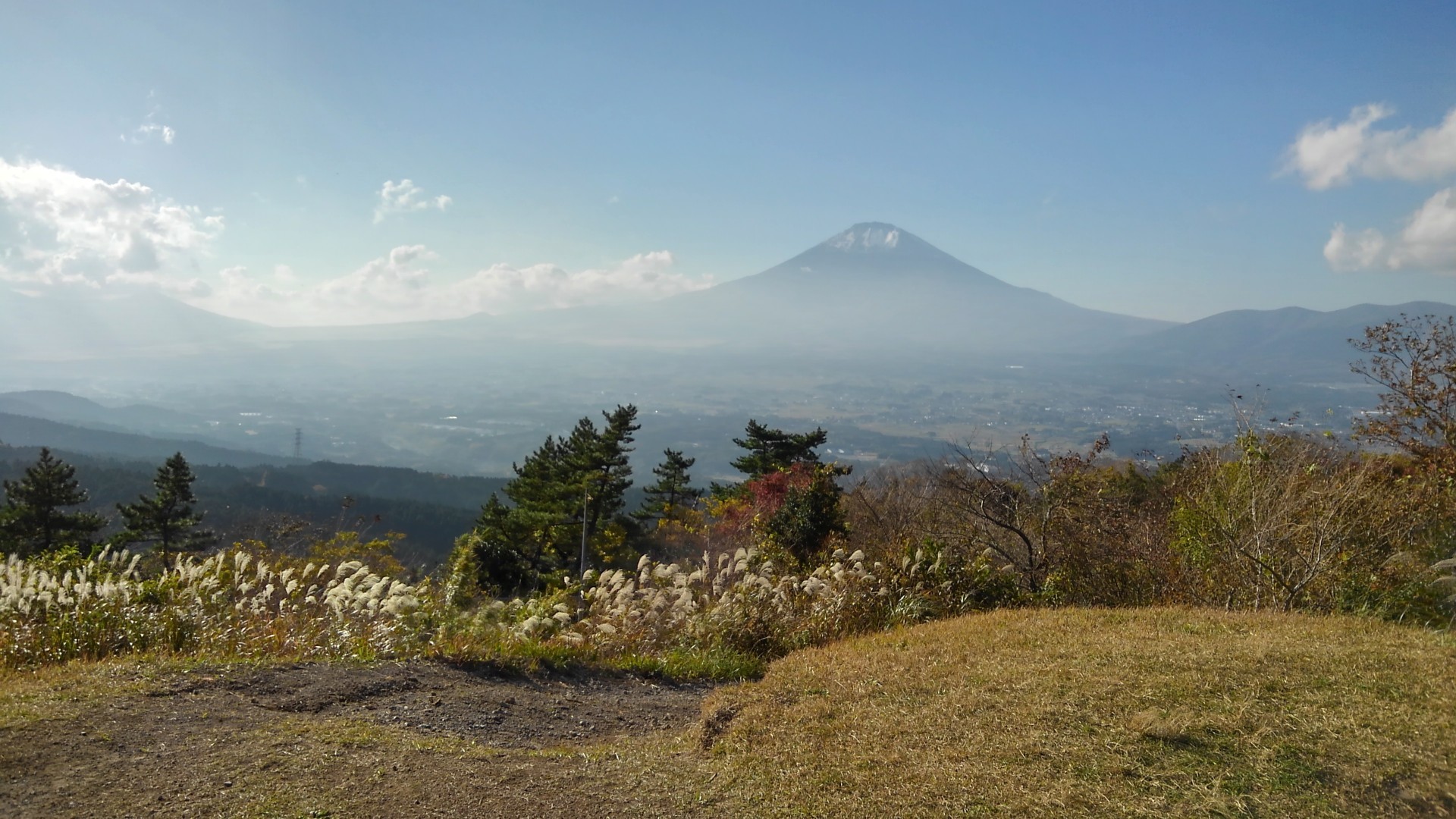 ソロトレッキング 足柄万葉公園 矢倉岳 浜居場城址 足柄城址巡り ミツヲさんの金時山 明神ヶ岳の活動データ Yamap ヤマップ