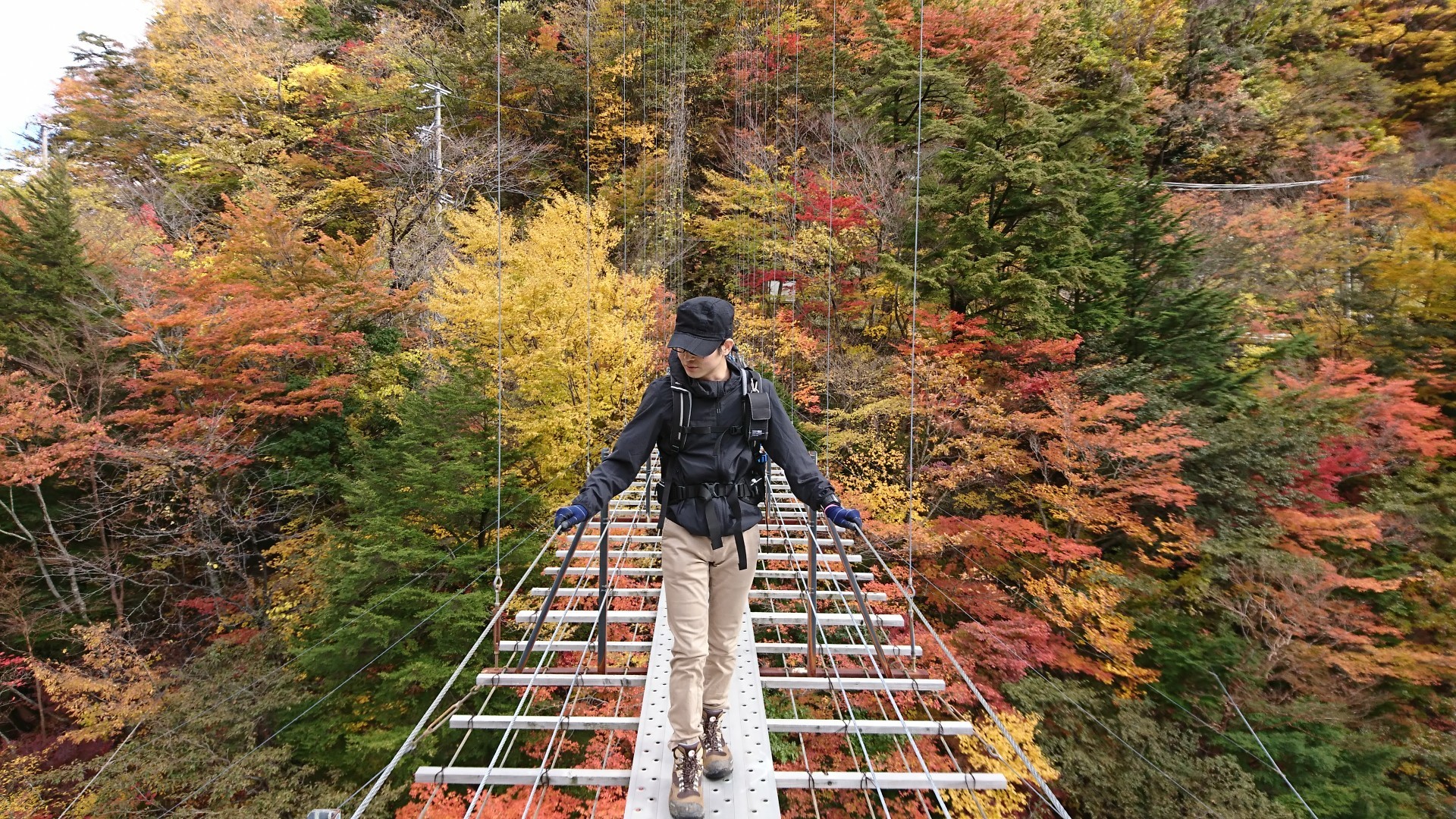 みんなで行こう 畑薙大吊橋 なっちさんの聖岳 大沢岳 光岳の活動データ Yamap ヤマップ