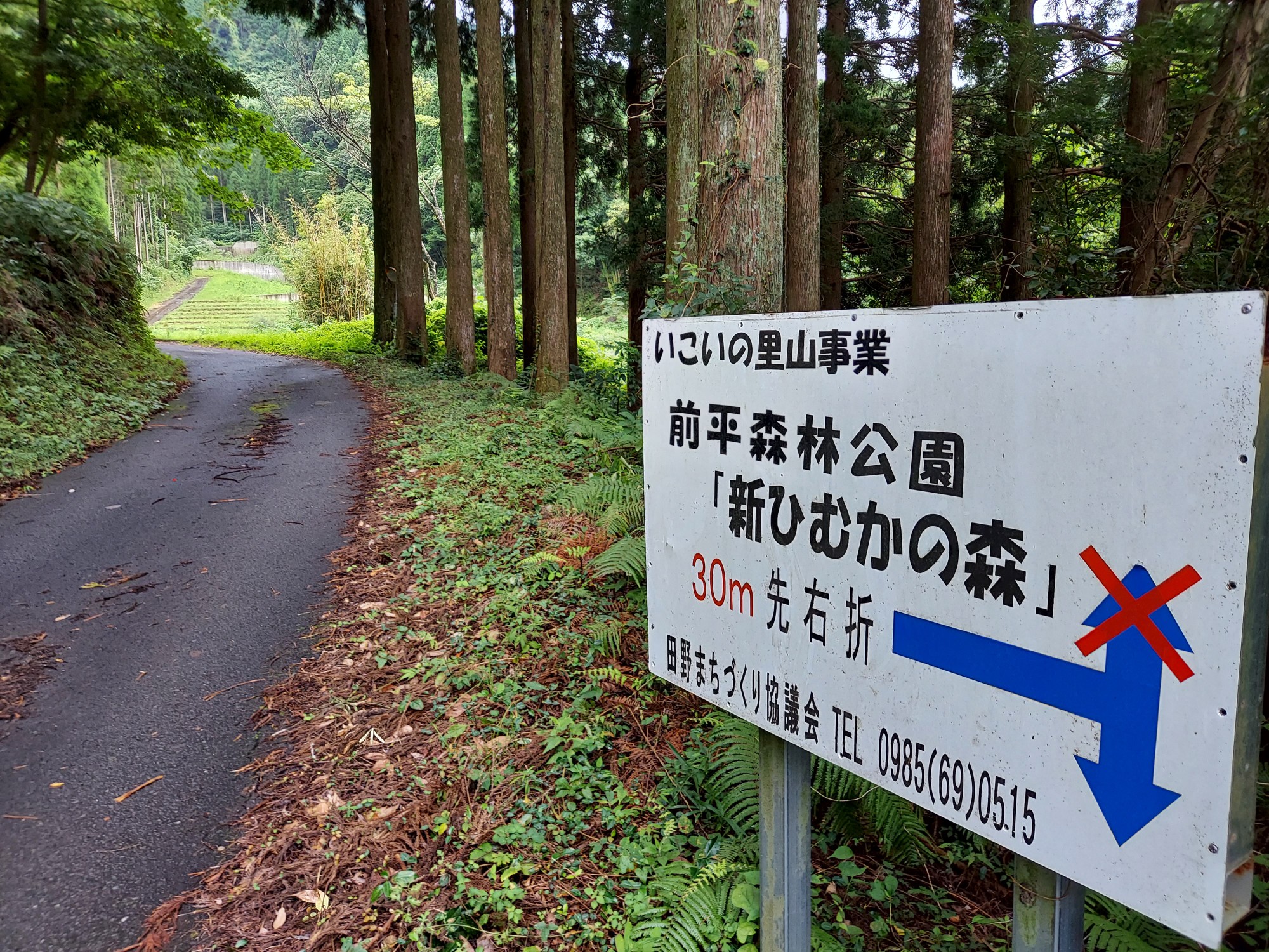 前平森林公園 新ひむかの森 Derainandreさんの双石山 花切山 岩壺山の活動データ Yamap ヤマップ