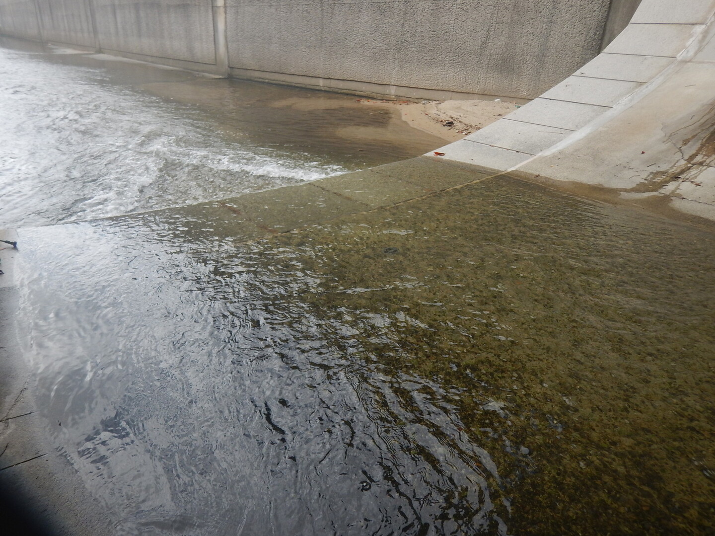 まち歩き 湊川隧道通り抜け スミ ジィ ジィさんの神戸市の活動日記 Yamap ヤマップ