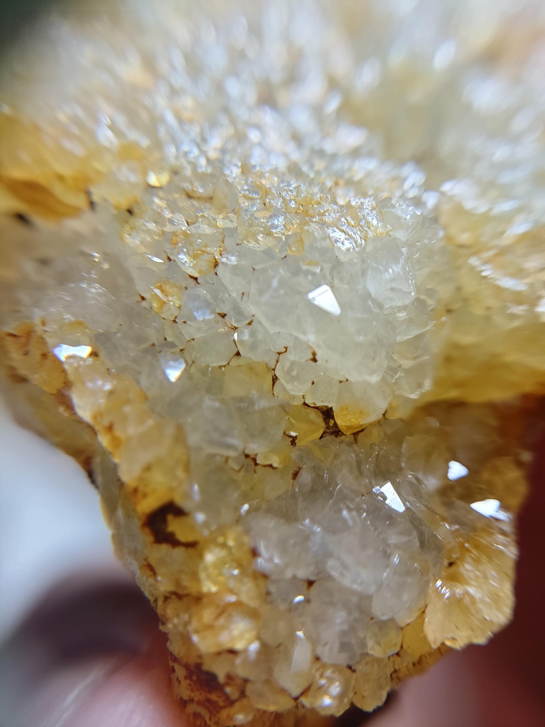 海で拾った石と瑪瑙(メノウ) / うっちぃさんのウォーキングの活動