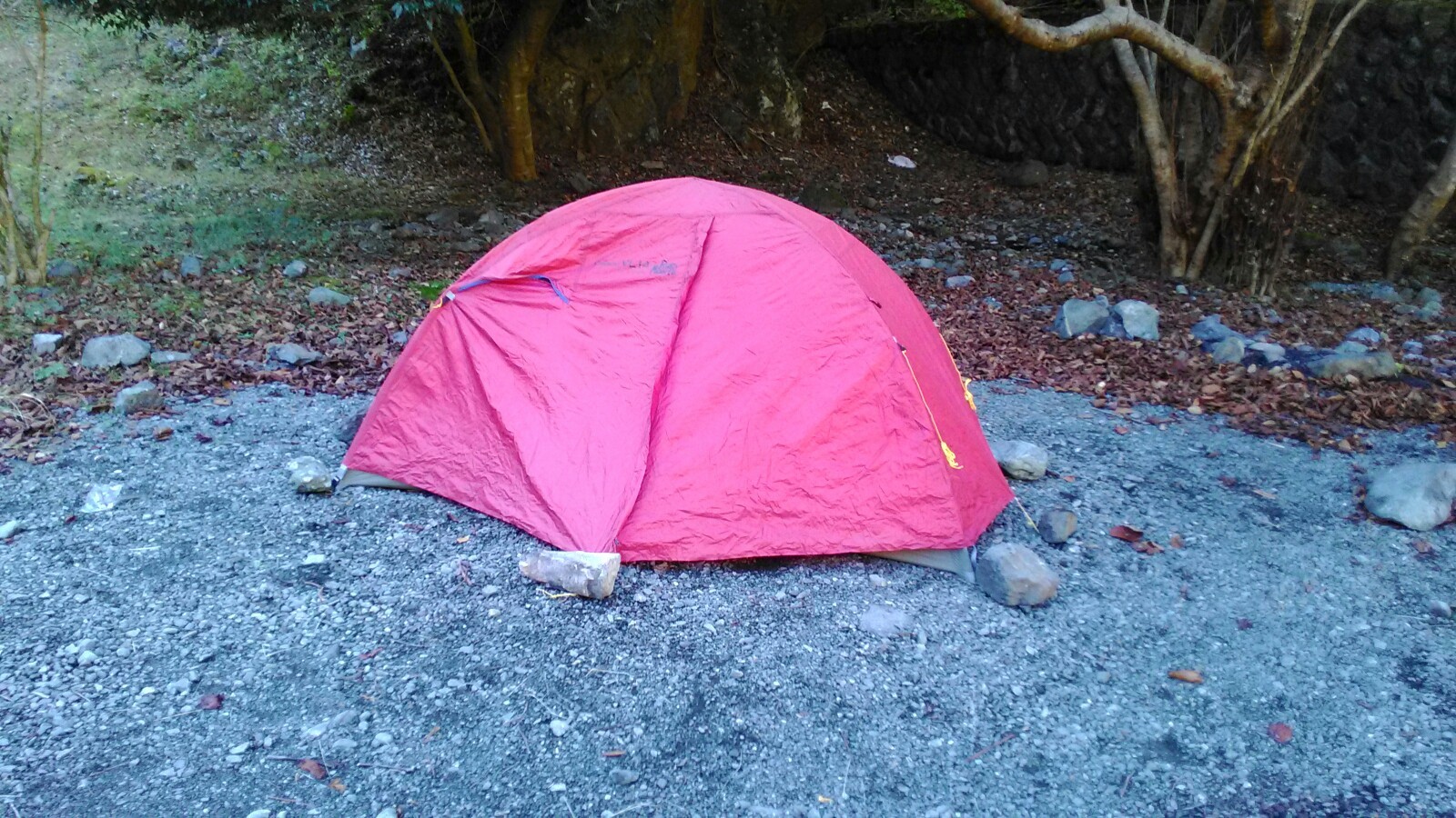 丹沢合宿１日目 書策新道 大金歩道 日高西尾根 天神尾根 Dimeifuさんの丹沢山の活動日記 Yamap ヤマップ