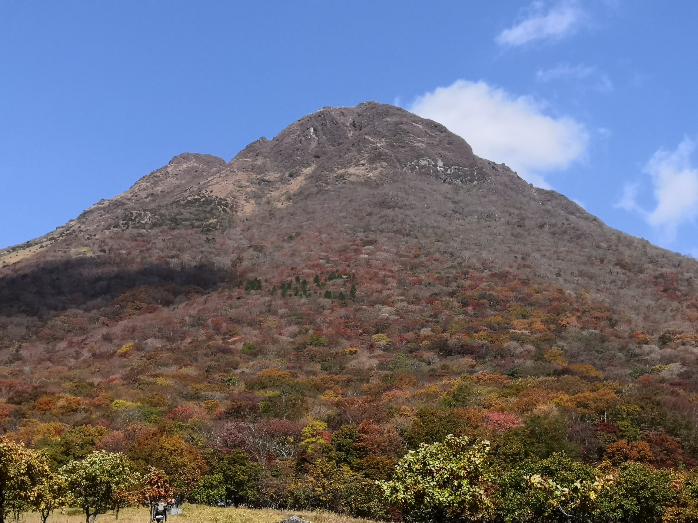 由布岳の紅葉散策 11 03 かさねさんの由布岳 鶴見岳の活動データ Yamap ヤマップ