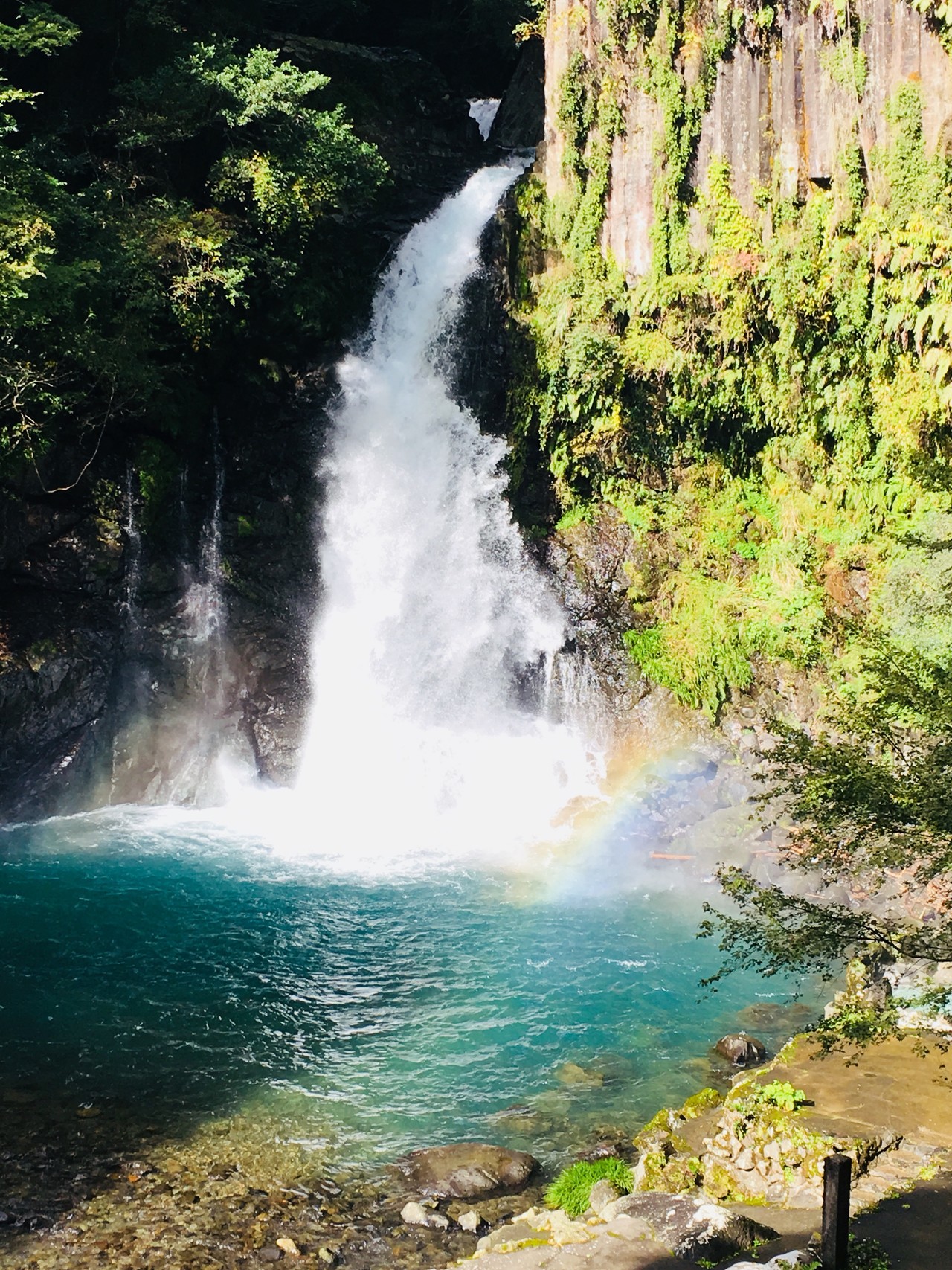 河津七滝ハイキング 梅子さんの天城山 鉢ノ山 三筋山の活動データ Yamap ヤマップ