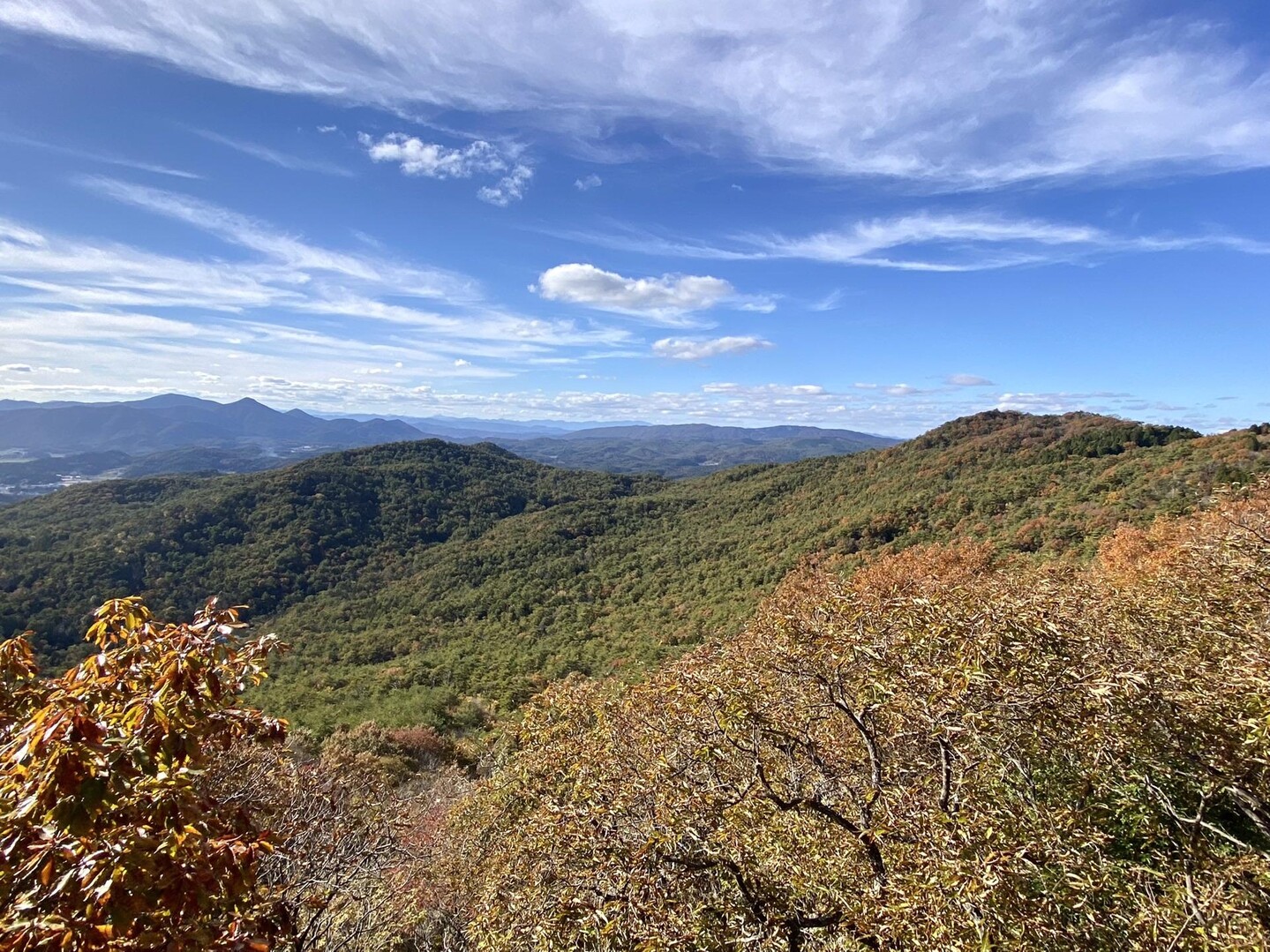 🏃‍♂️大会はリタイア😢でも山歩きは快調🙂天神嶽 / こうじさんの天神嶽の活動データ | YAMAP / ヤマップ