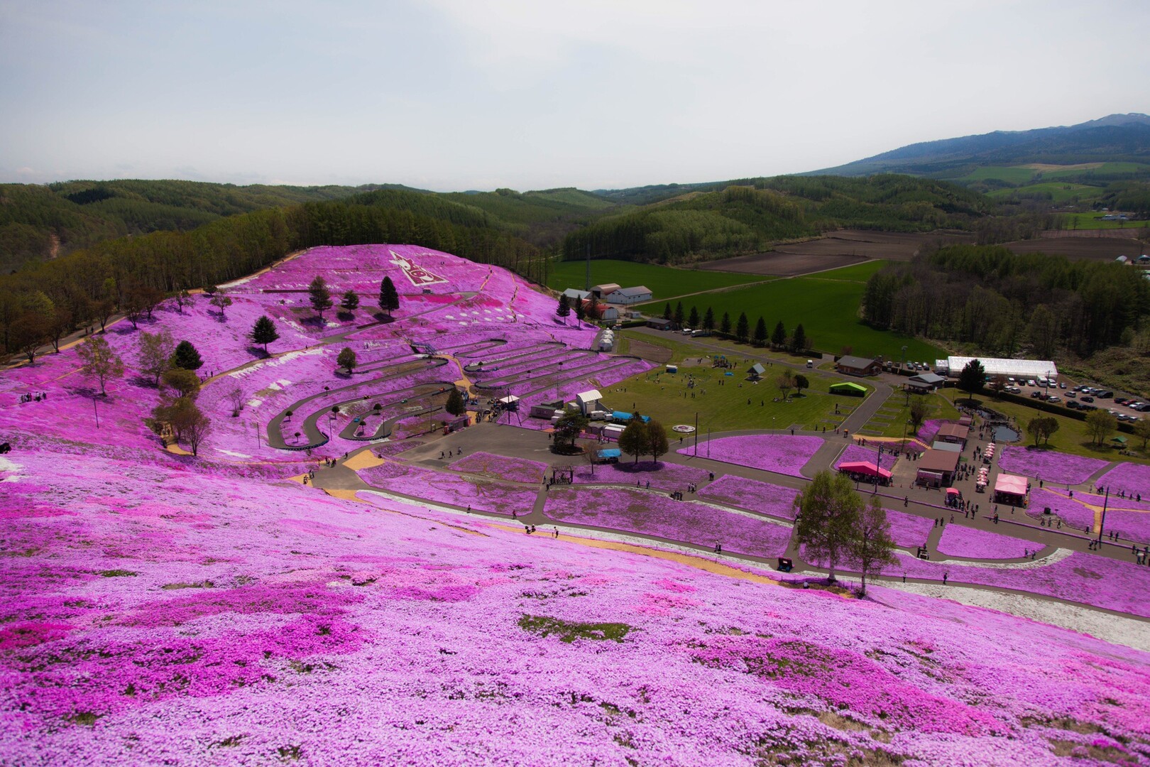 東藻琴芝桜公園からの藻琴山 しんのすけさんの藻琴山 硫黄山 屈斜路湖 摩周湖の活動データ Yamap ヤマップ