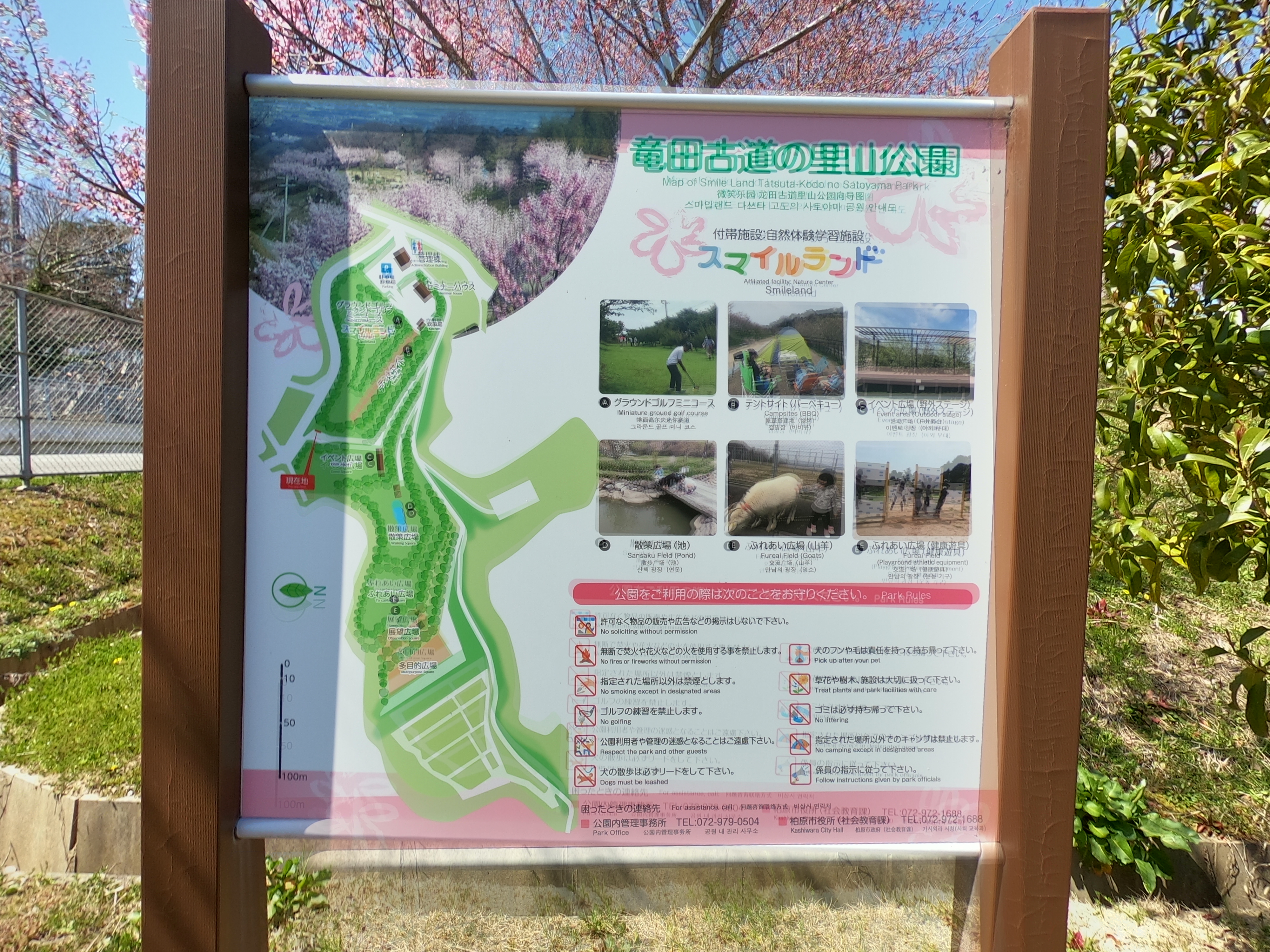 竜田古道 河内 大和へ 03 25 春のさんの生駒山 神津嶽 大原山の活動日記 Yamap ヤマップ