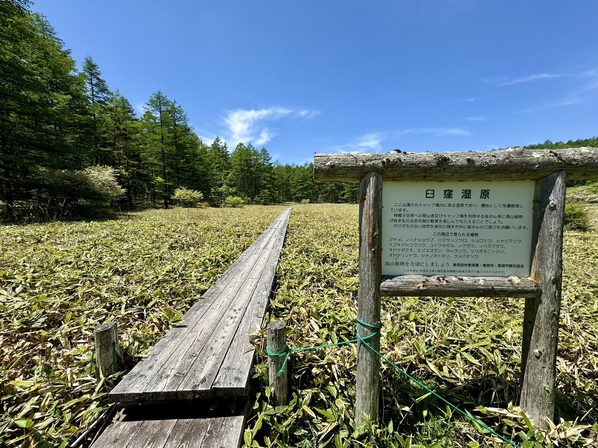 迂回路を楽々進み、湿原を散策