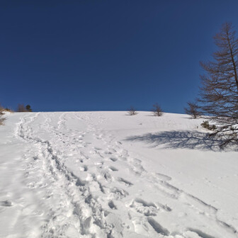 浅間山・黒斑山・篭ノ登山 山頂までの大雪原が気持ち良い😀